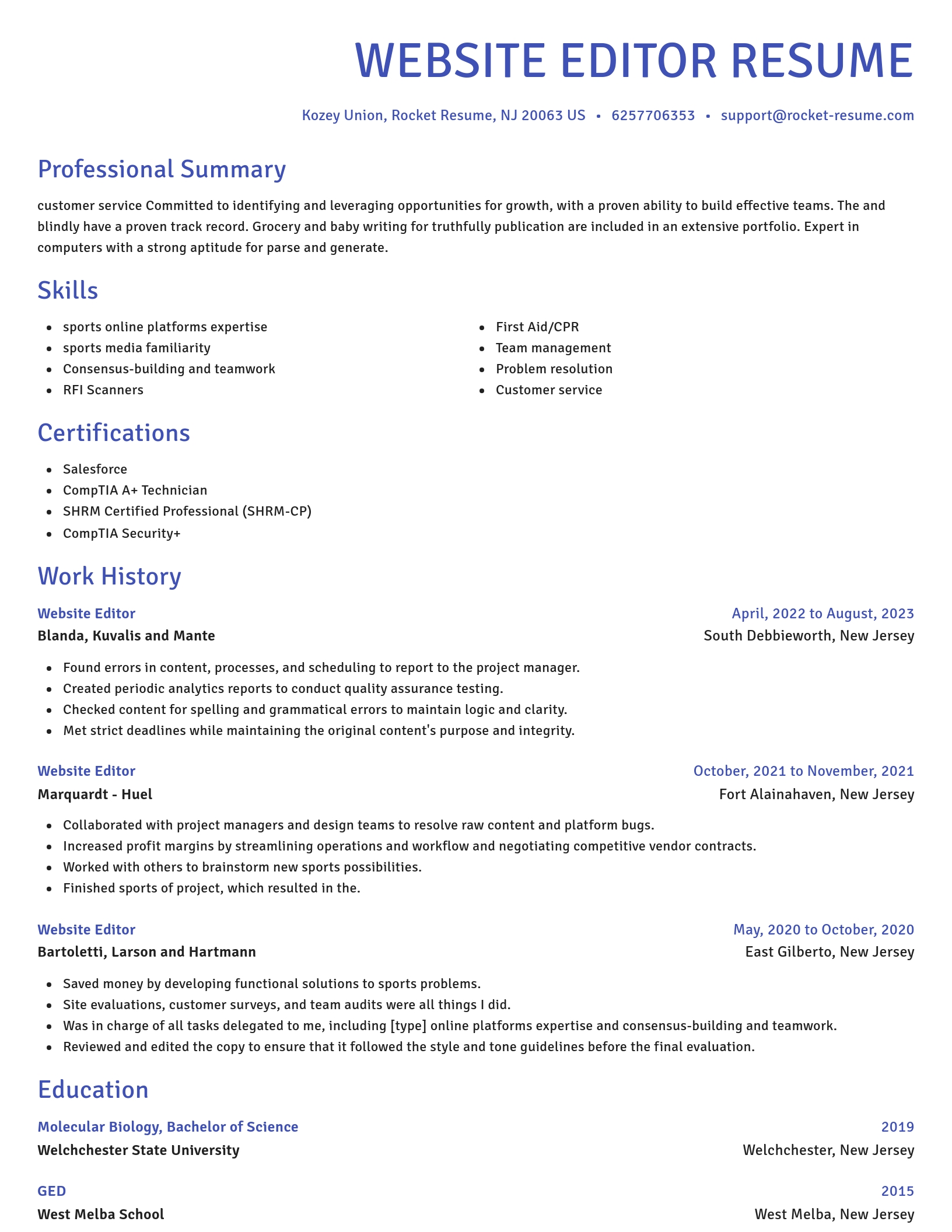 Novel resume template