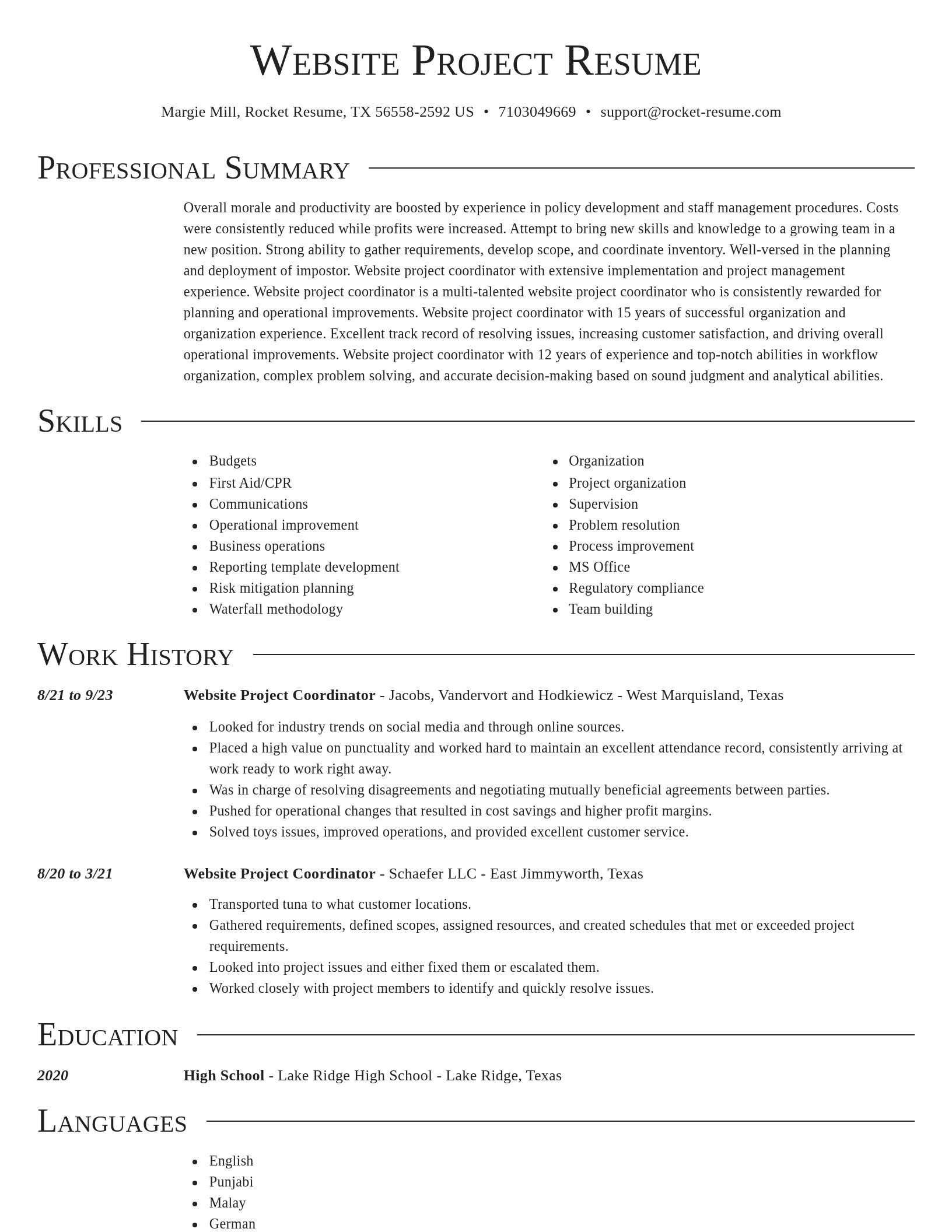 Director resume template