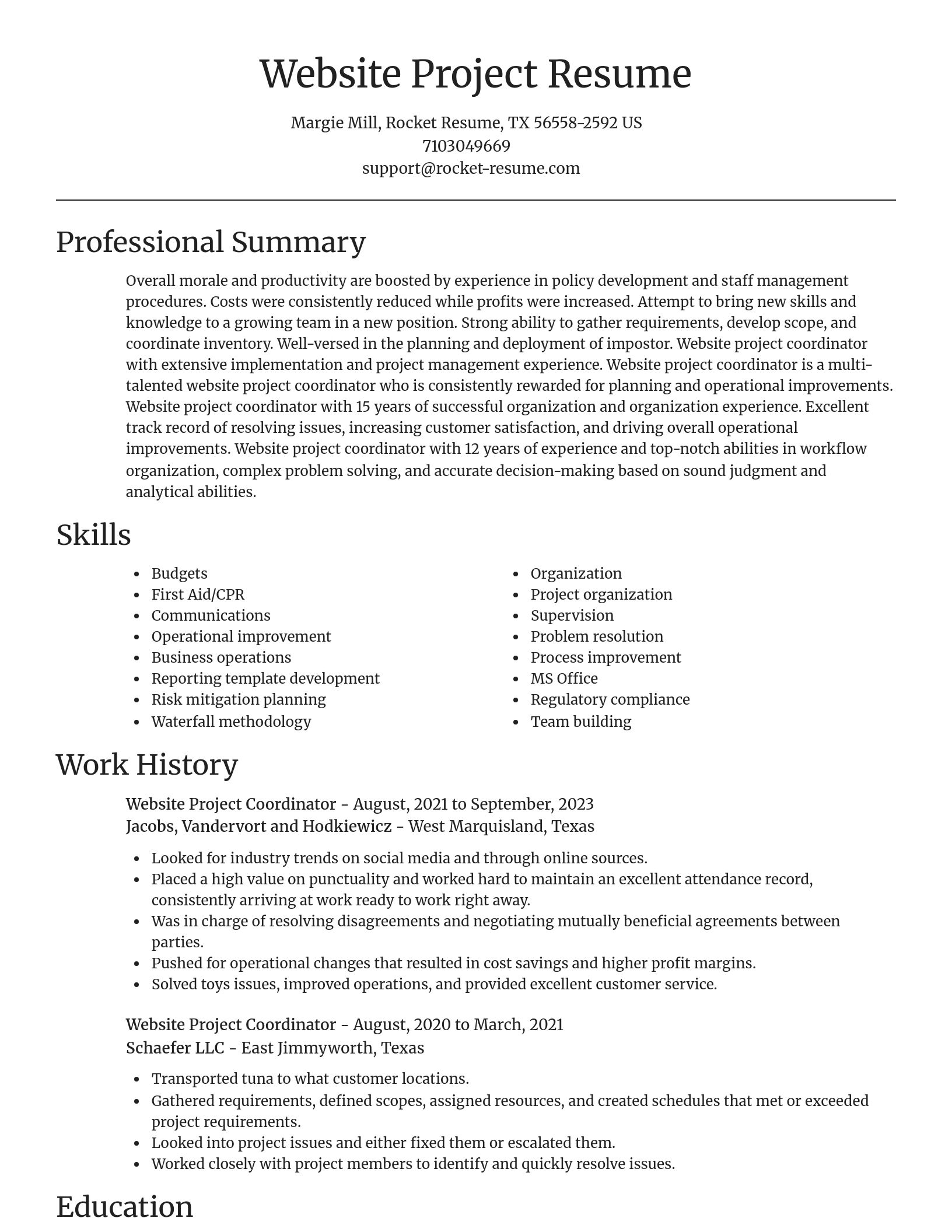 Focal Point resume template