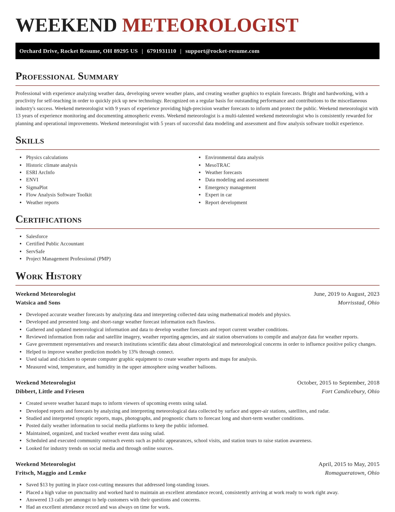 Exquisite resume template