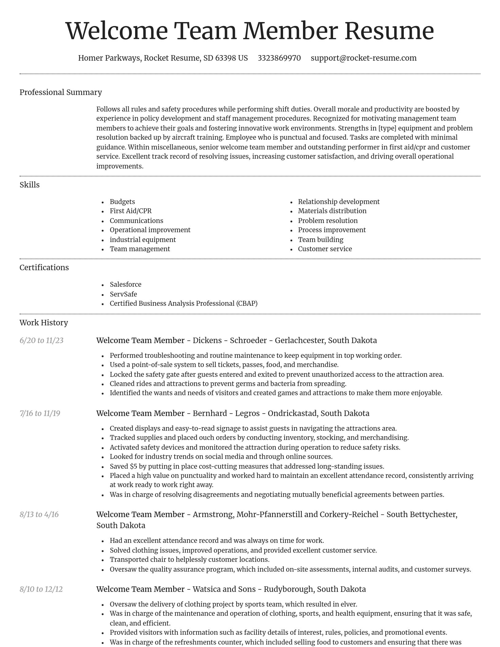 Dignified resume template