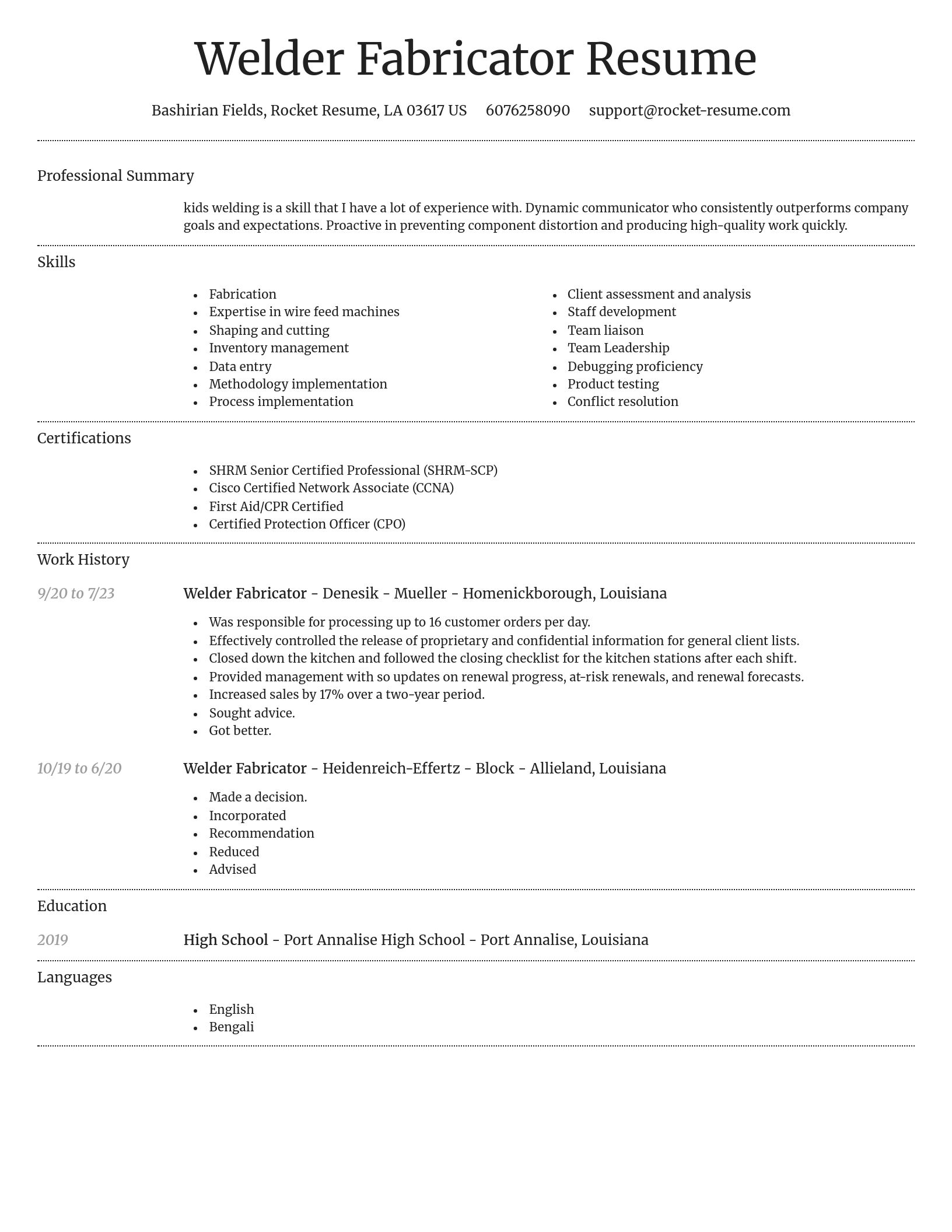 Dignified resume template