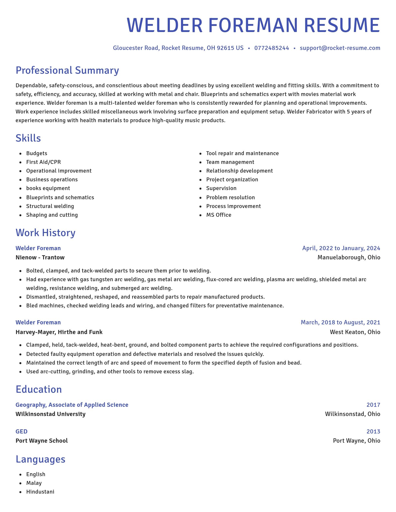 Novel resume template