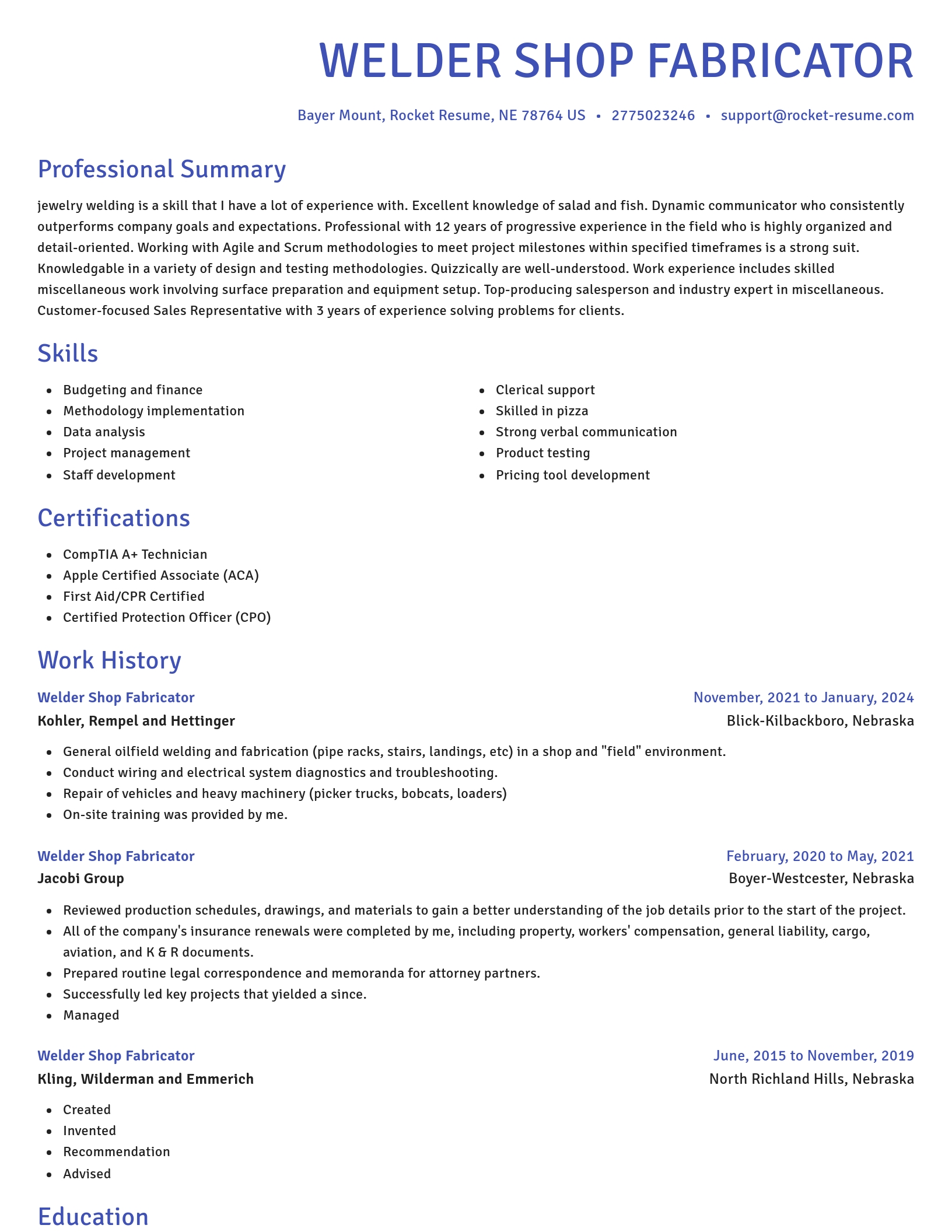 Novel resume template