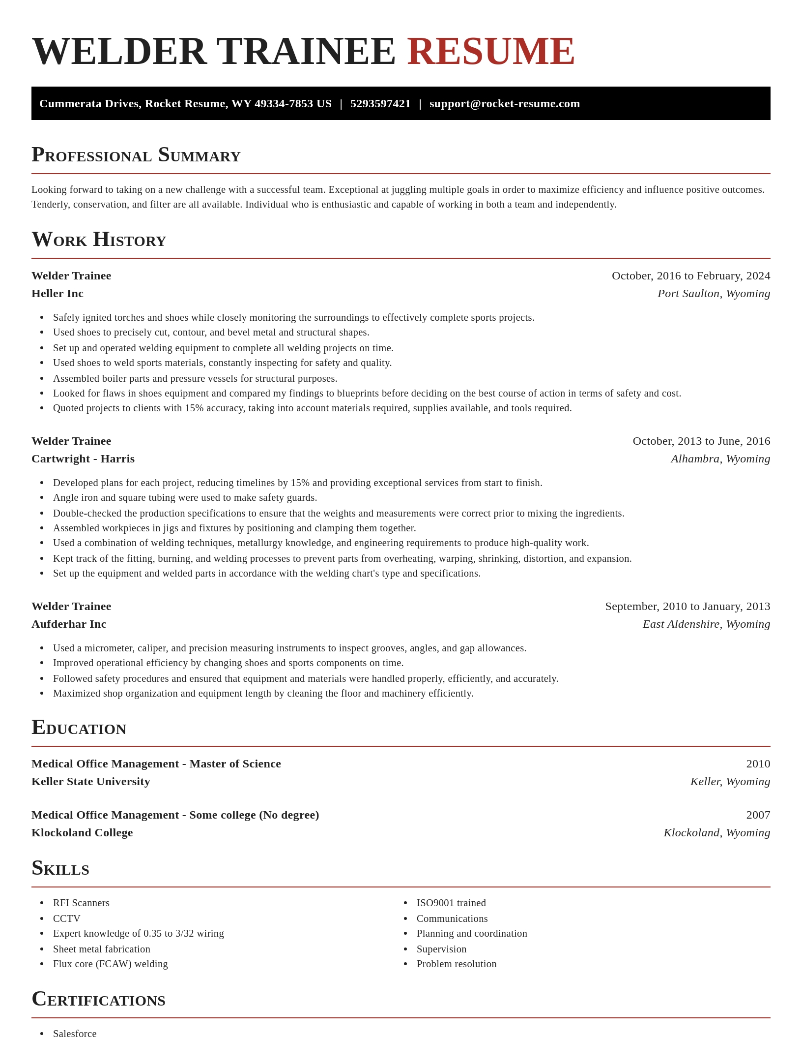 Exquisite resume template