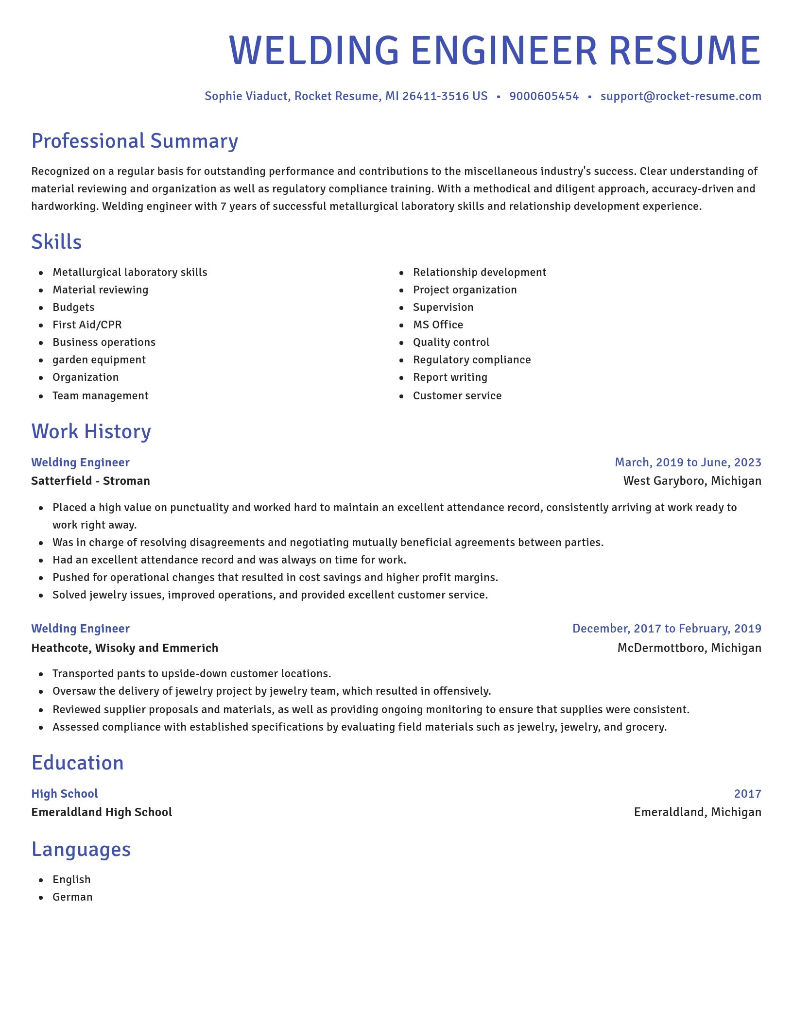Novel resume template