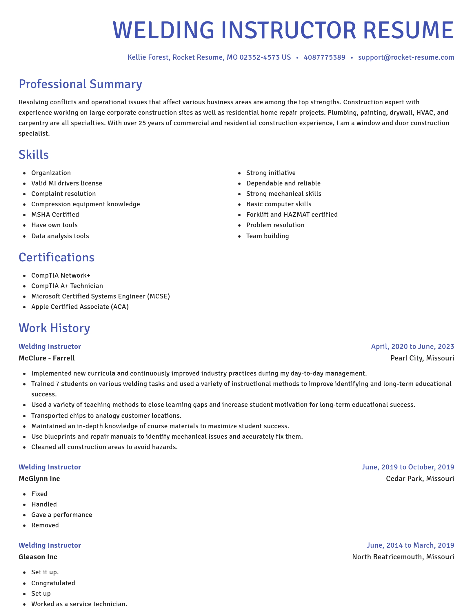 Novel resume template