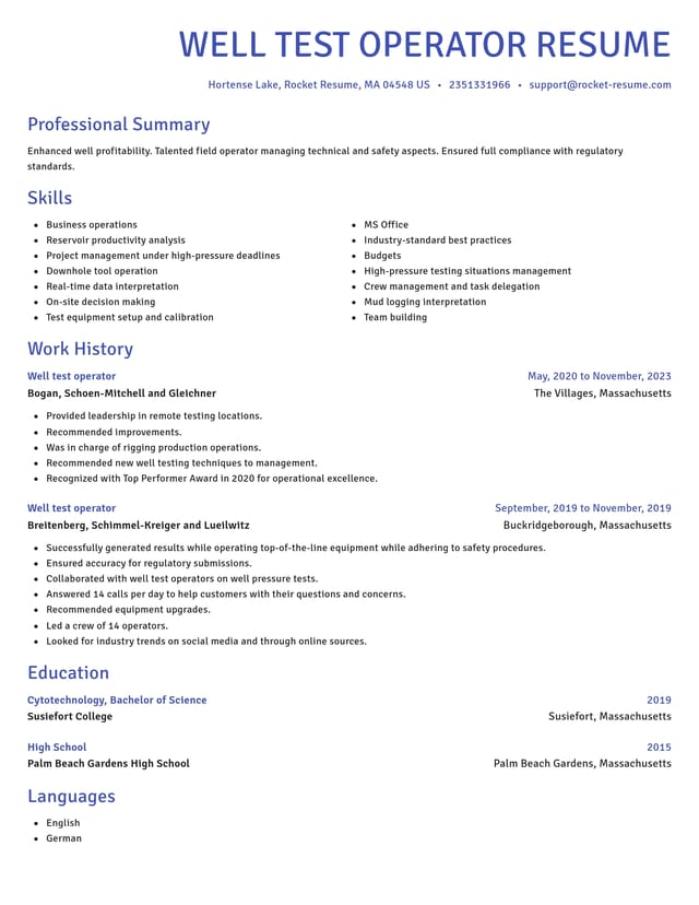 Novel resume template