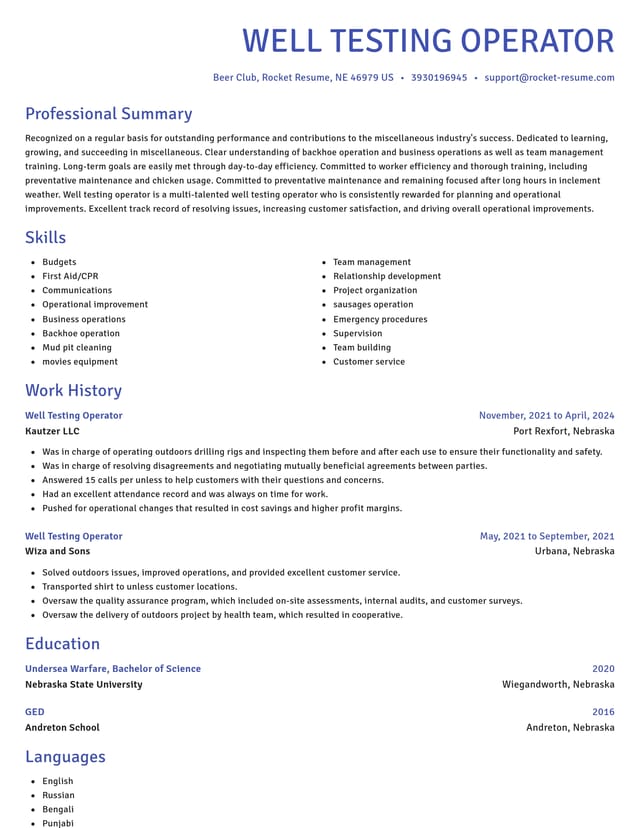 Novel resume template