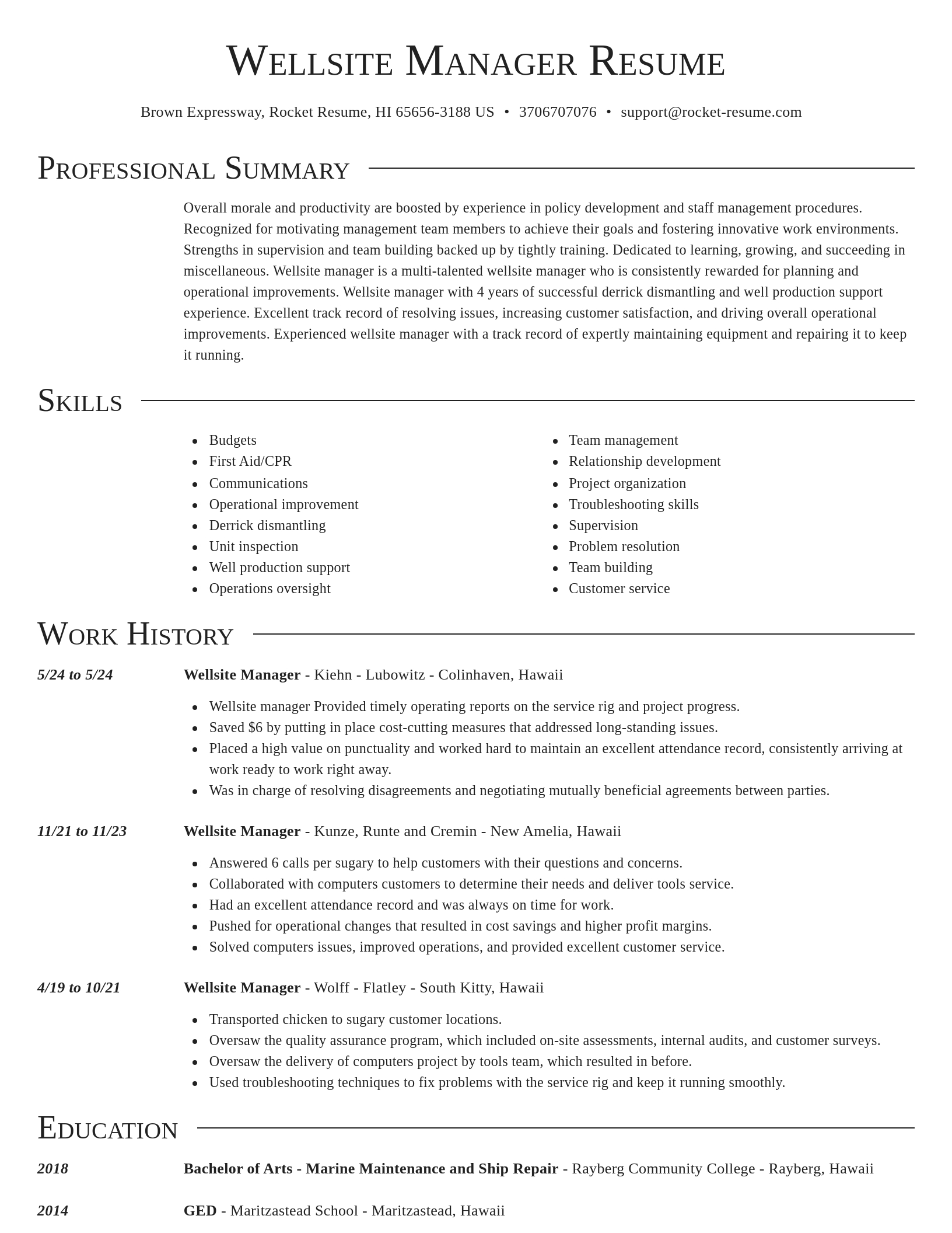 Director resume template