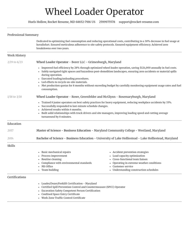 Dignified resume template