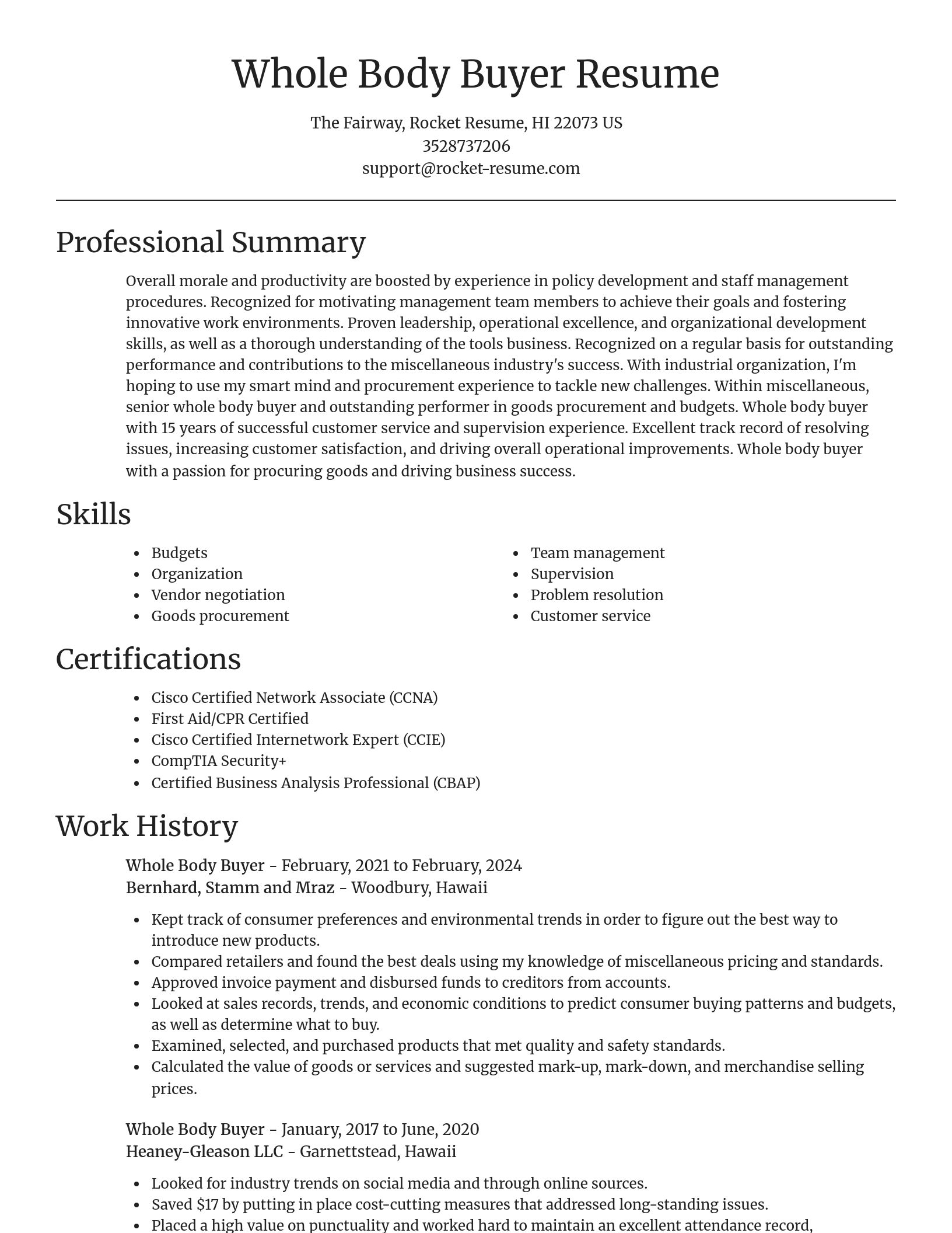 Focal Point resume template