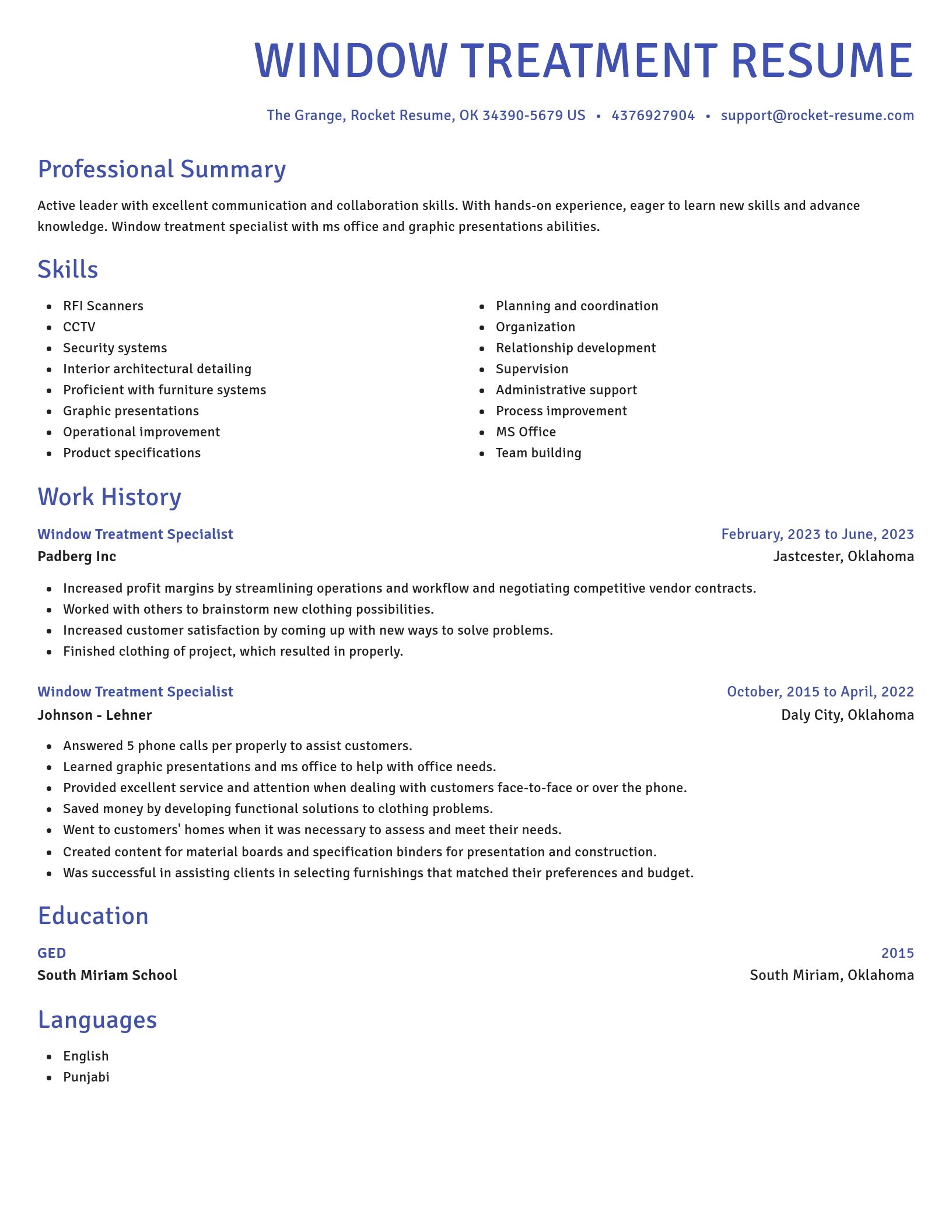 Novel resume template
