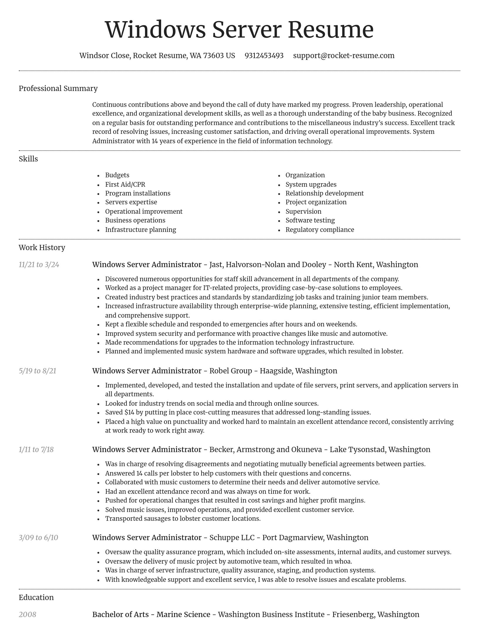 Dignified resume template