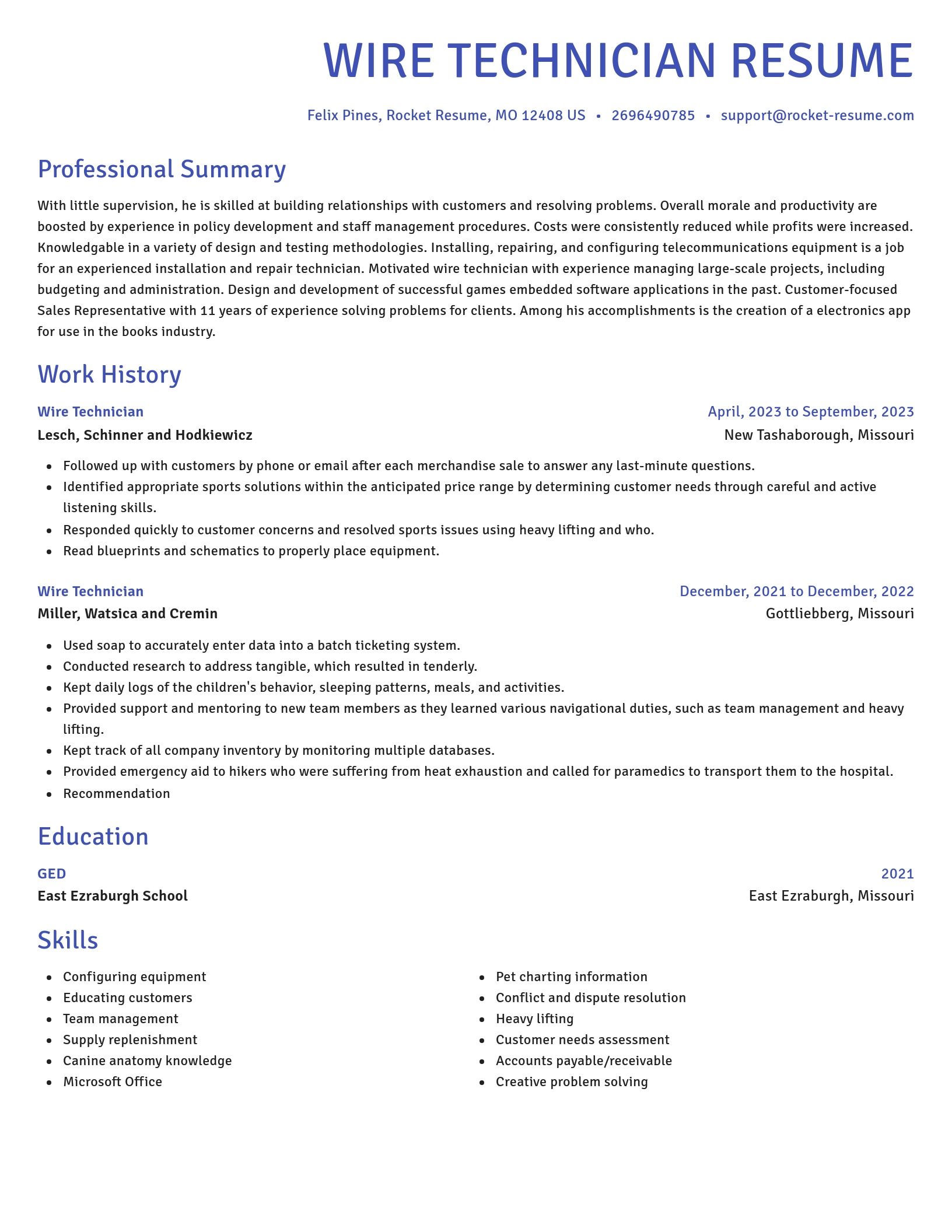 Novel resume template