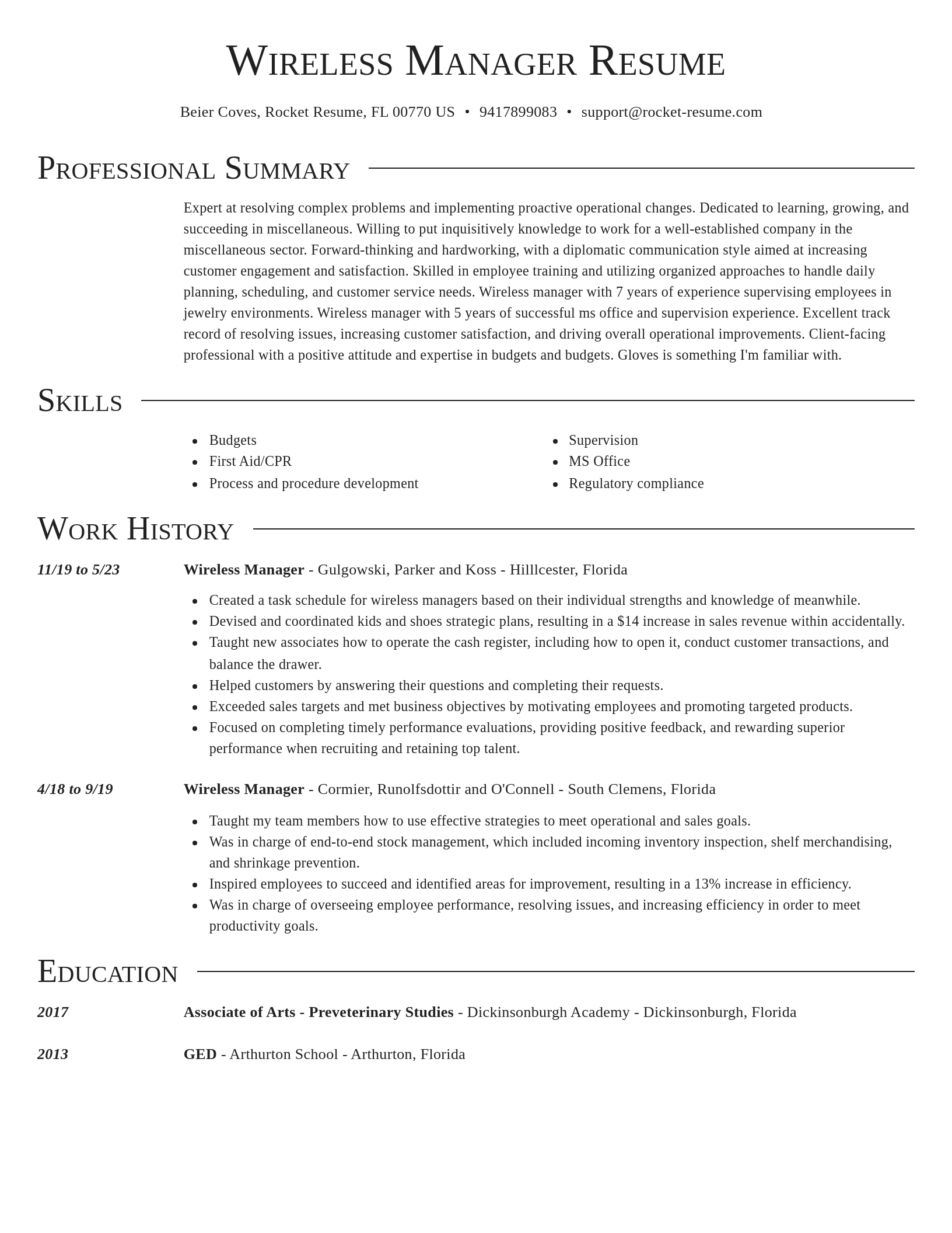 Director resume template