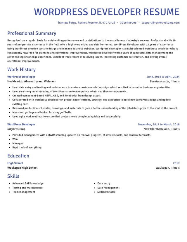 Novel resume template