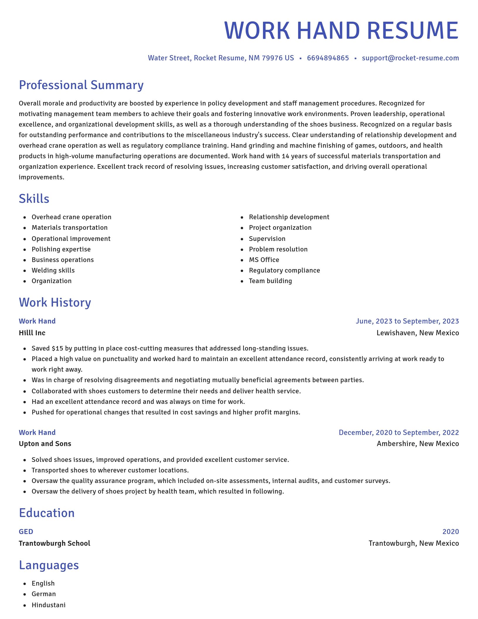 Novel resume template