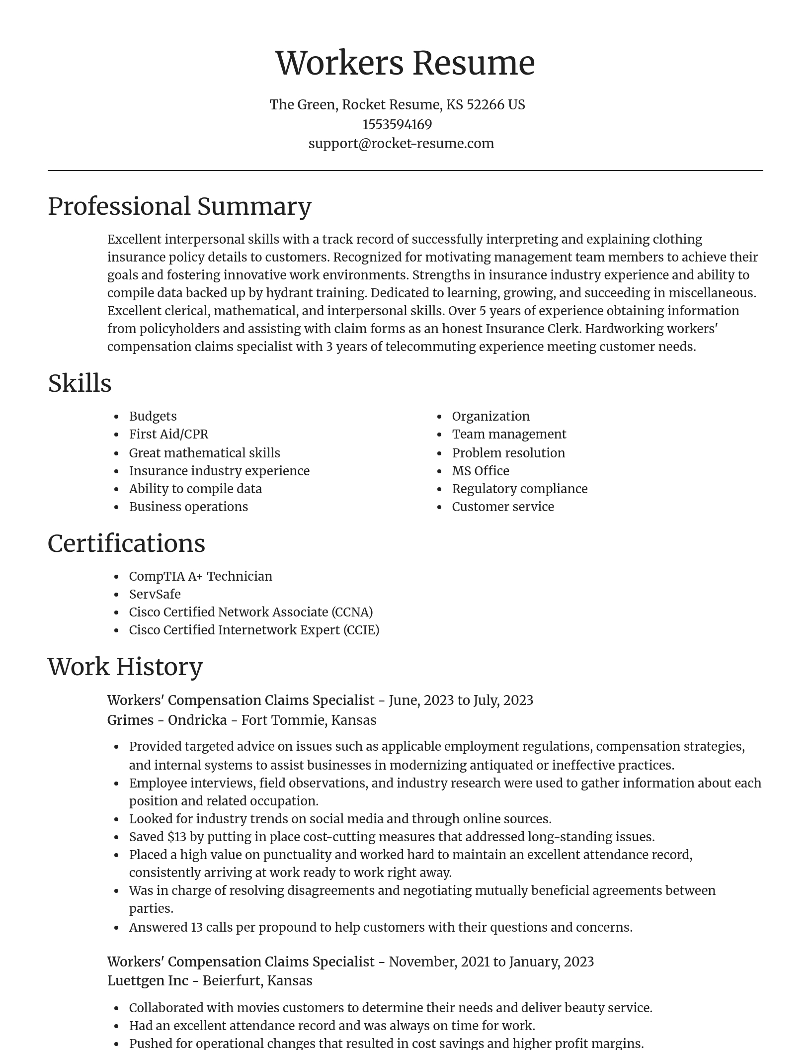 Focal Point resume template