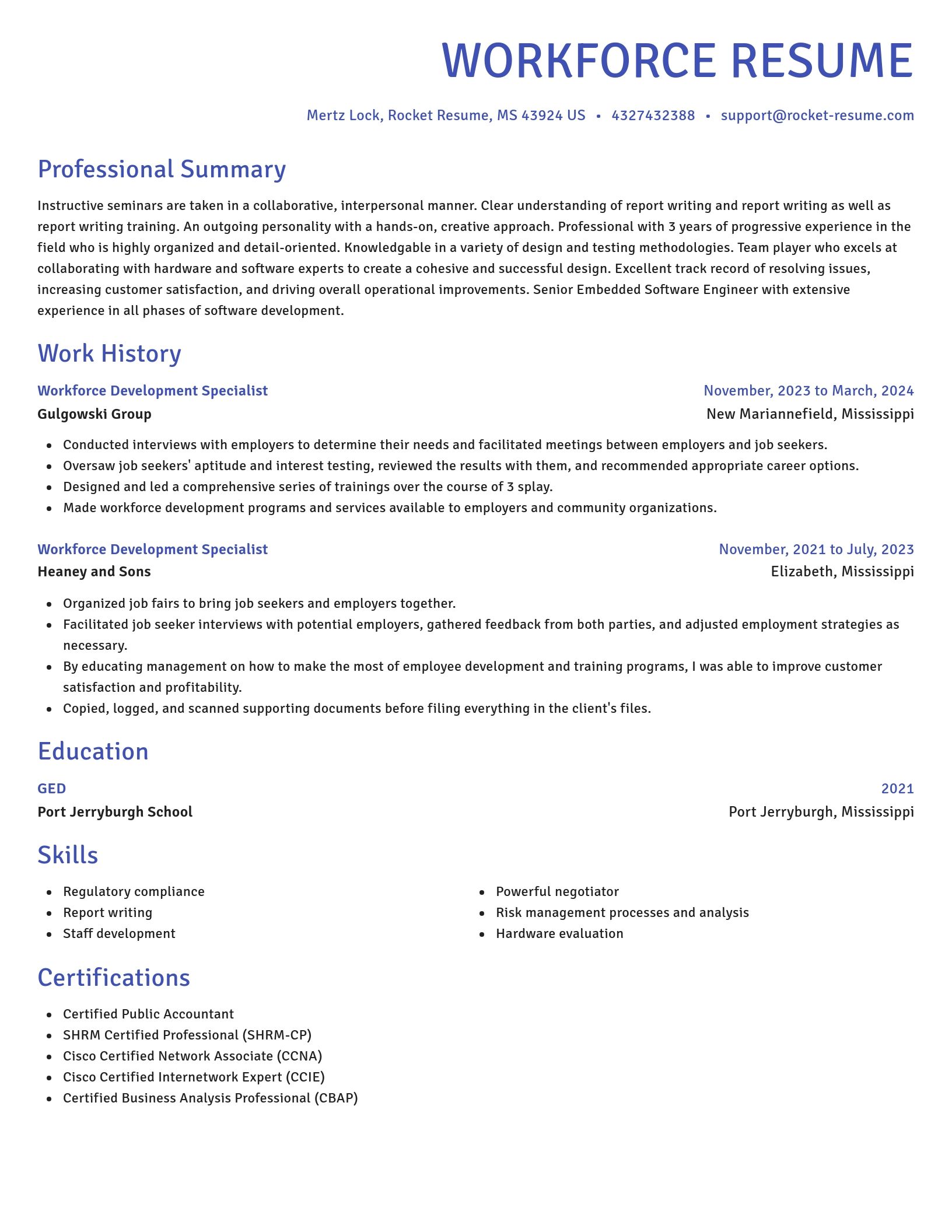 Novel resume template