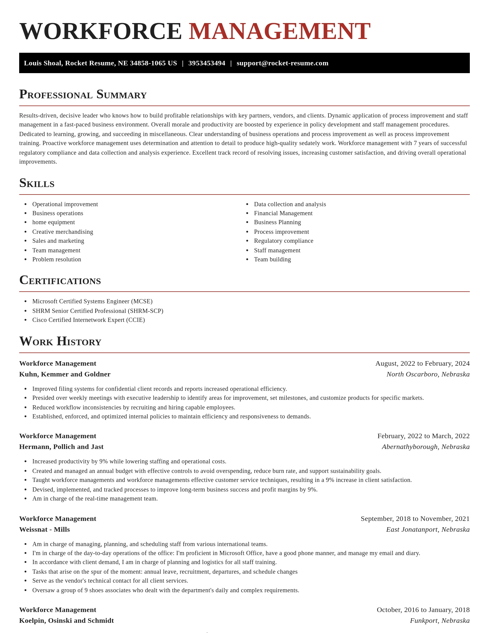 Exquisite resume template