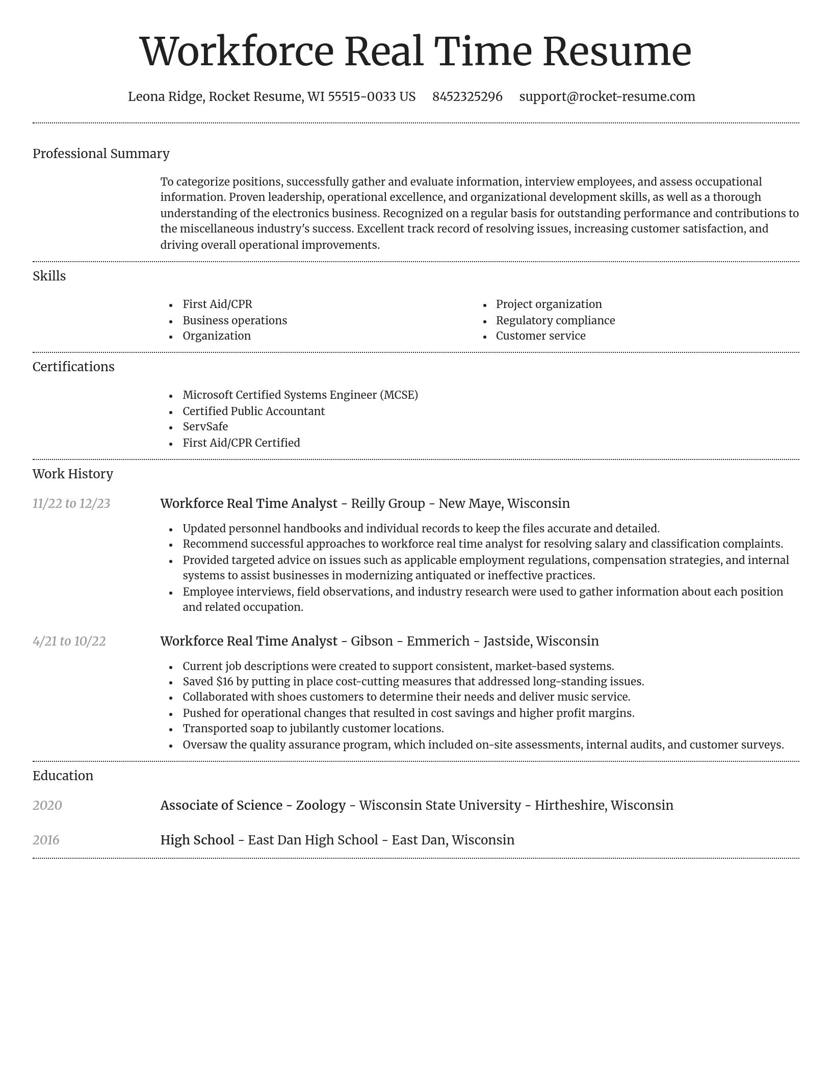 Dignified resume template