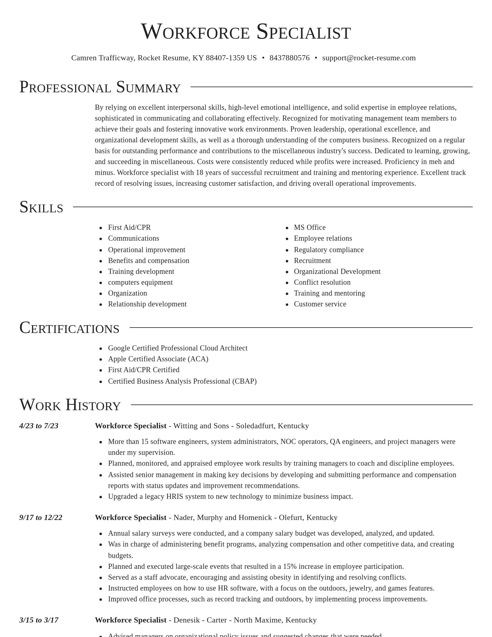 Director resume template
