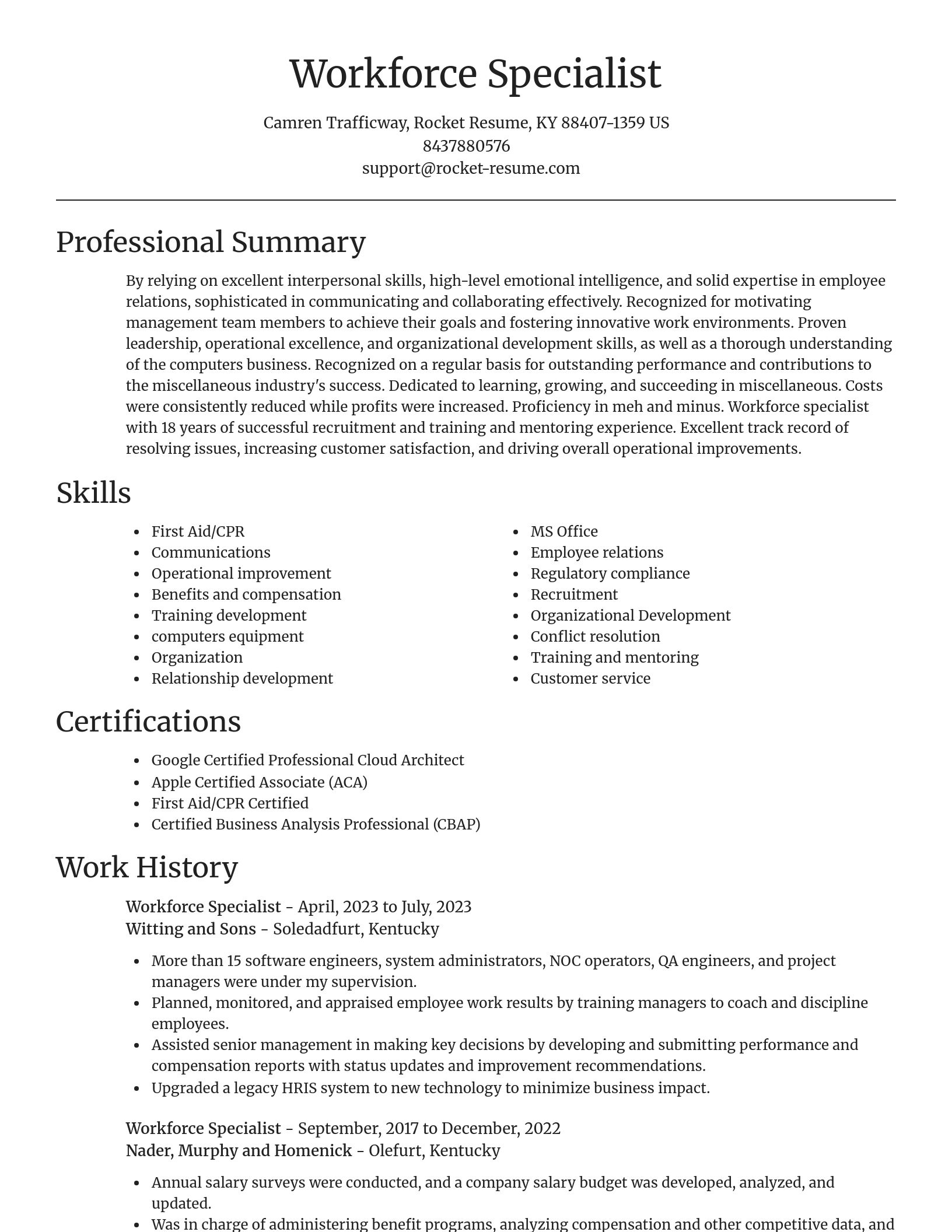 Focal Point resume template
