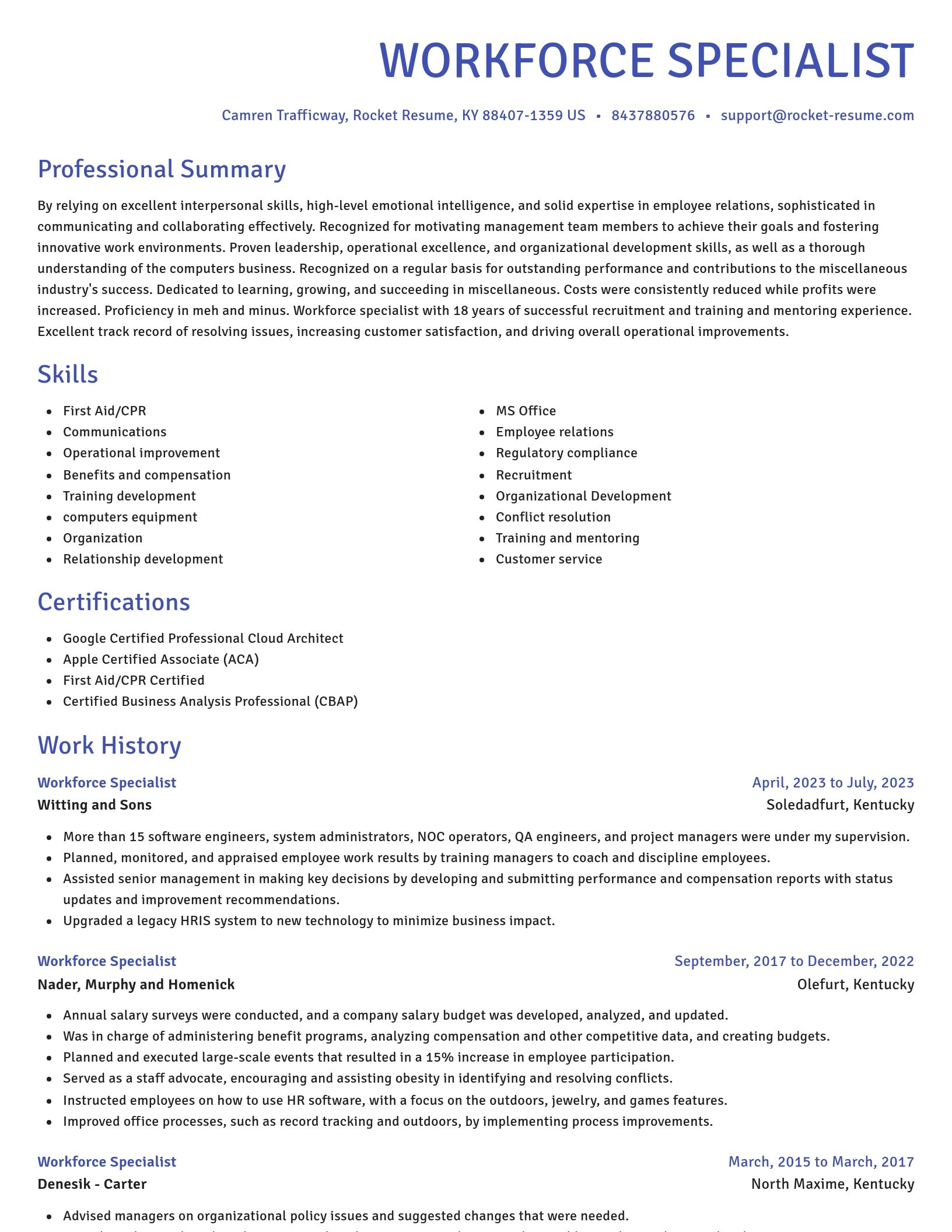 Novel resume template