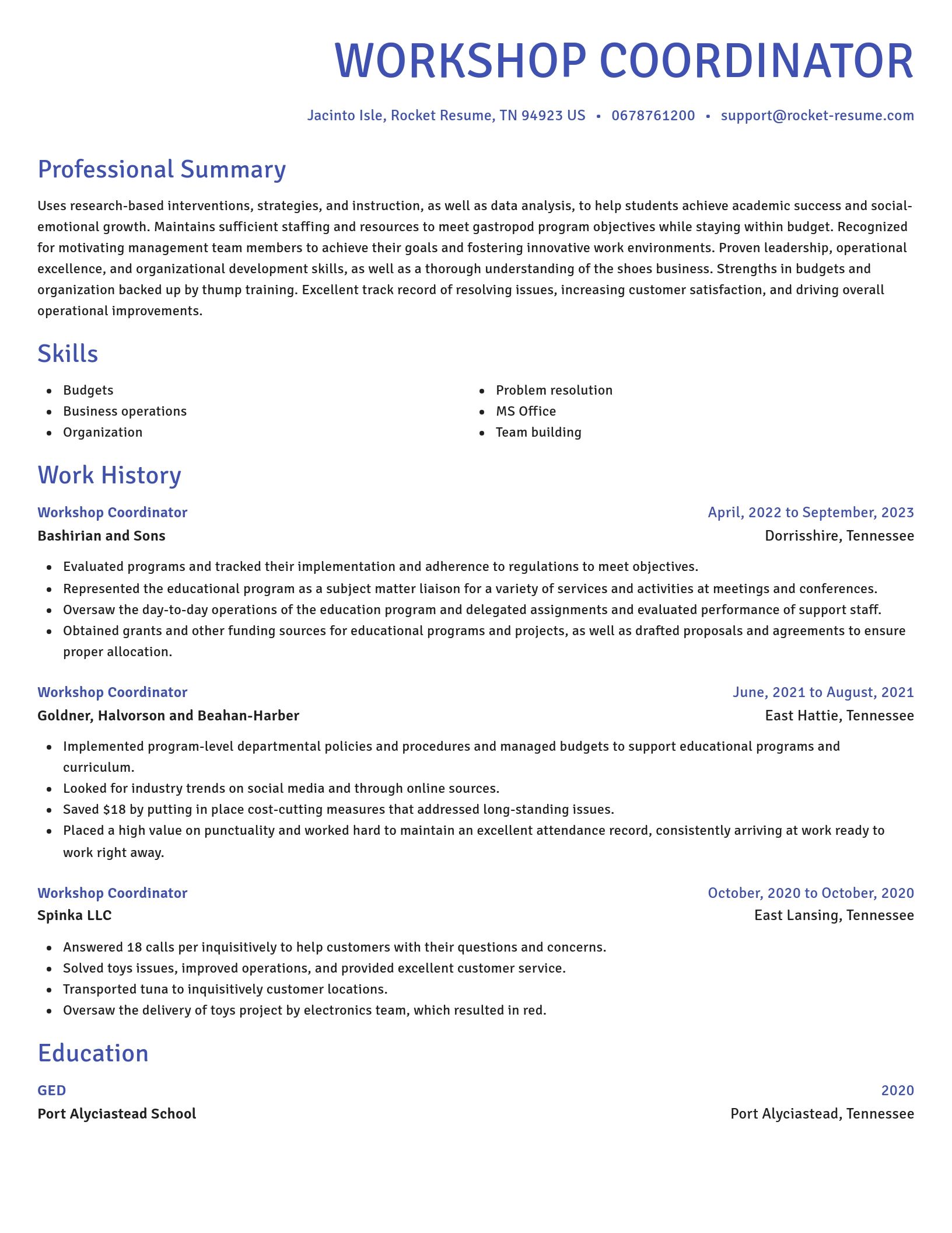 Novel resume template