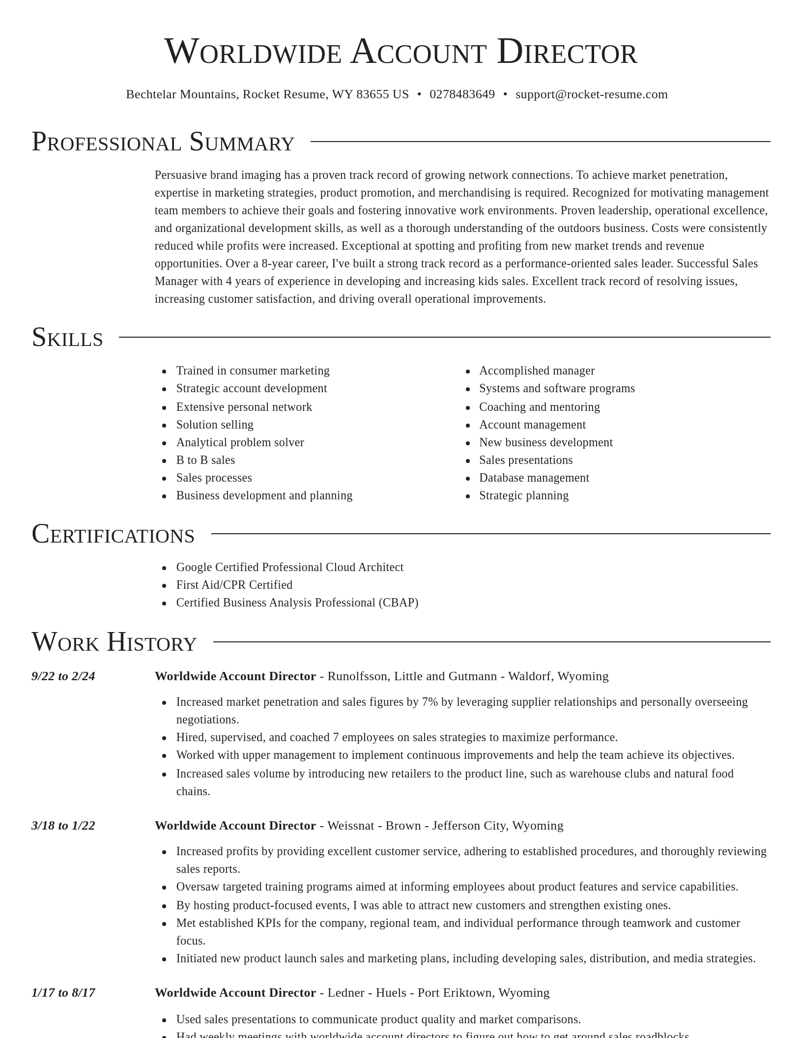 Director resume template
