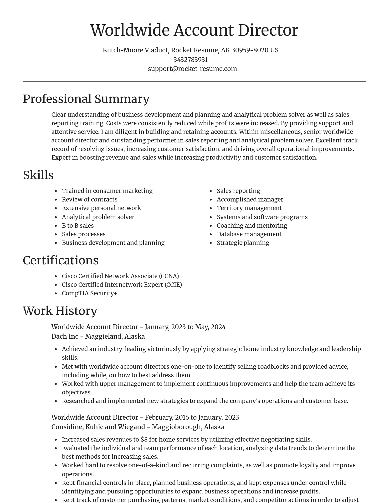 Focal Point resume template