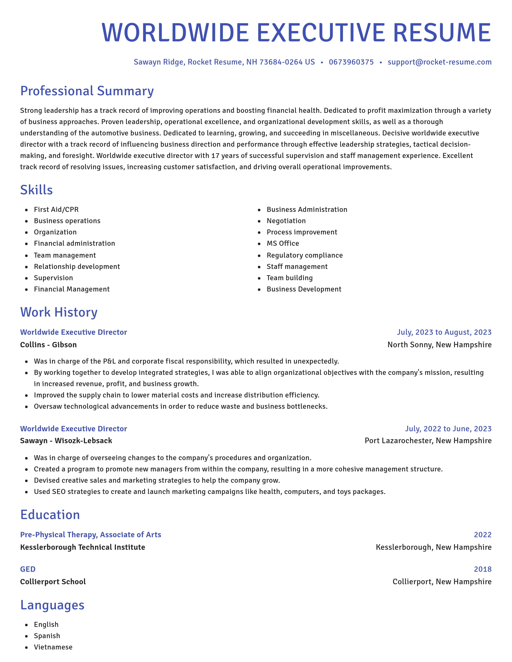 Novel resume template