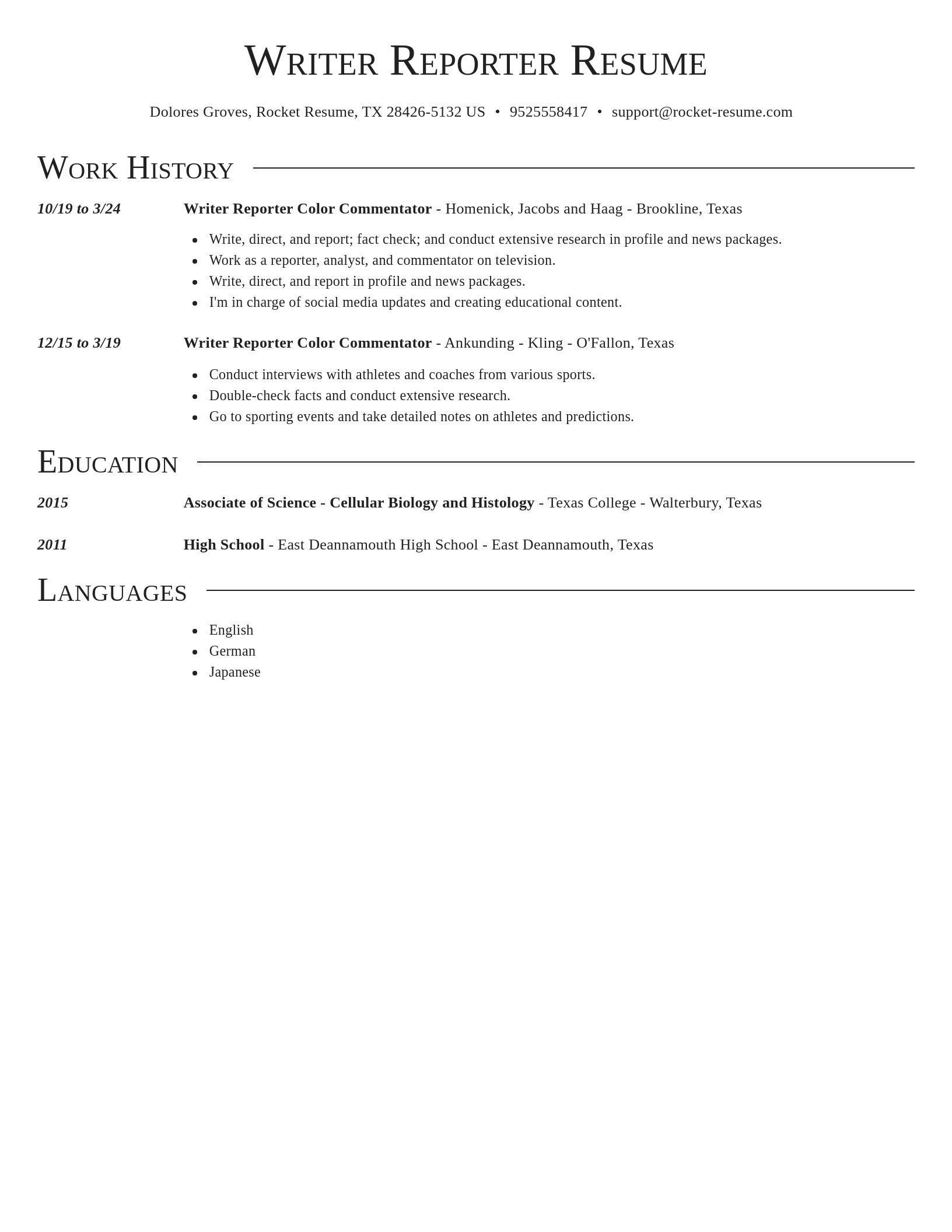 Director resume template