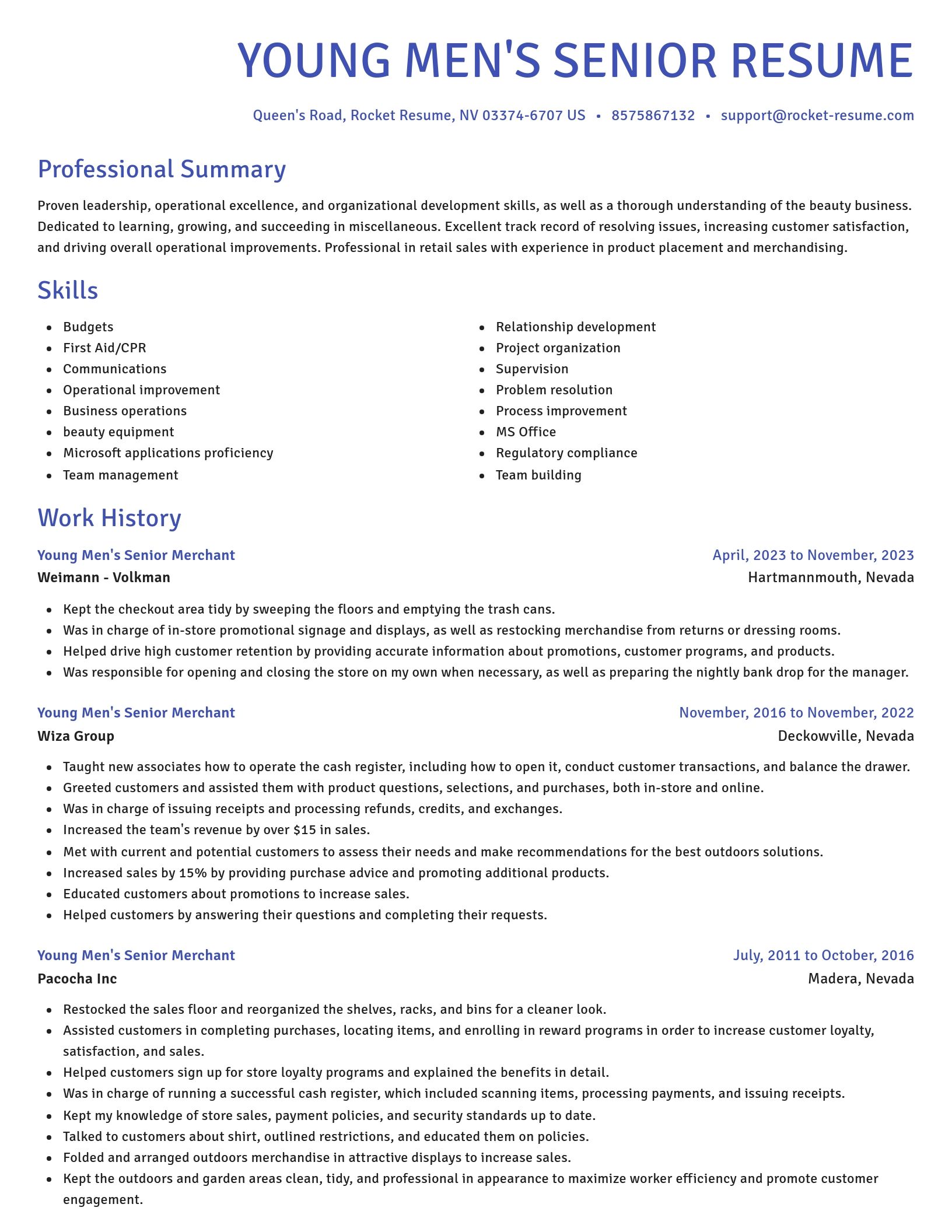 Novel resume template