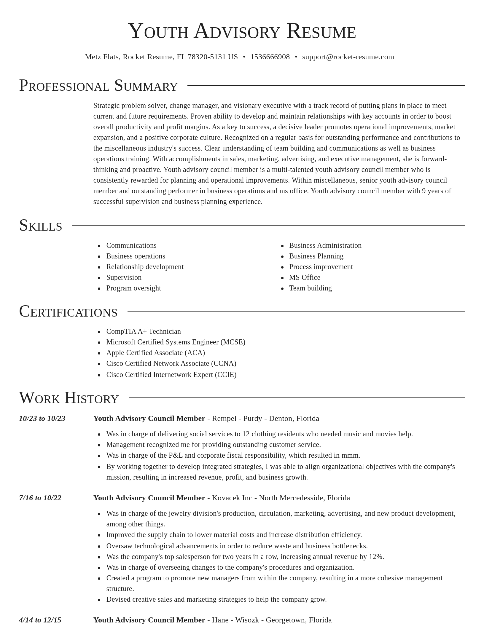 Director resume template