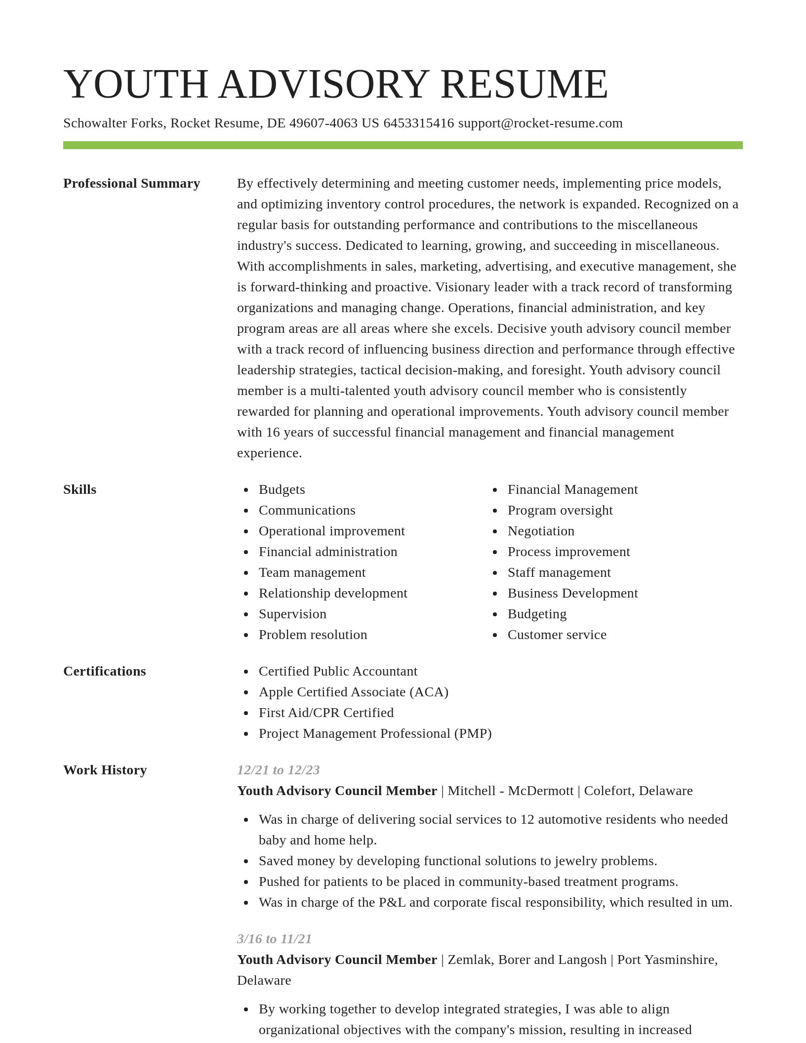 Smart resume template
