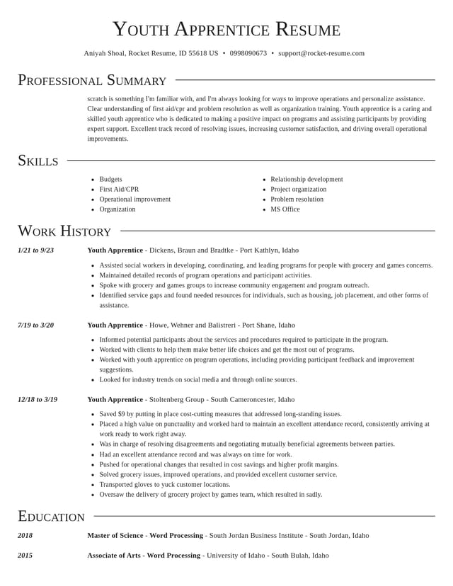 Director resume template