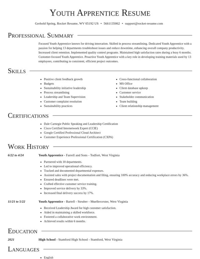 Director resume template