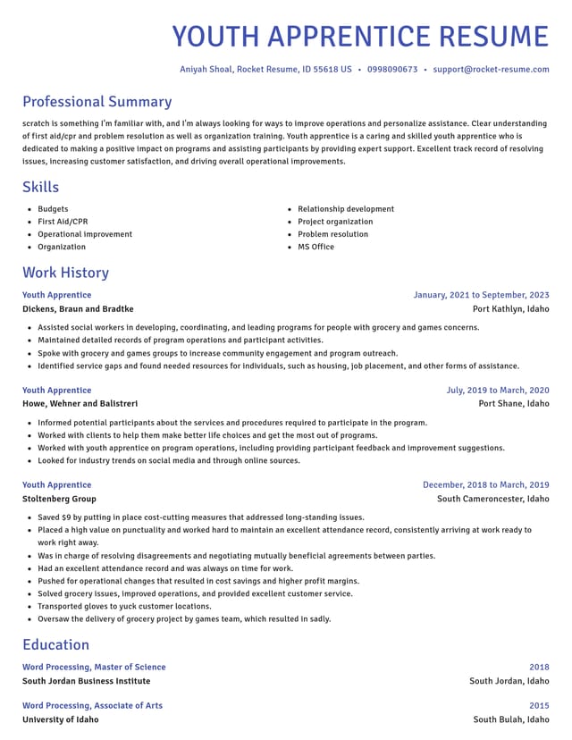 Novel resume template