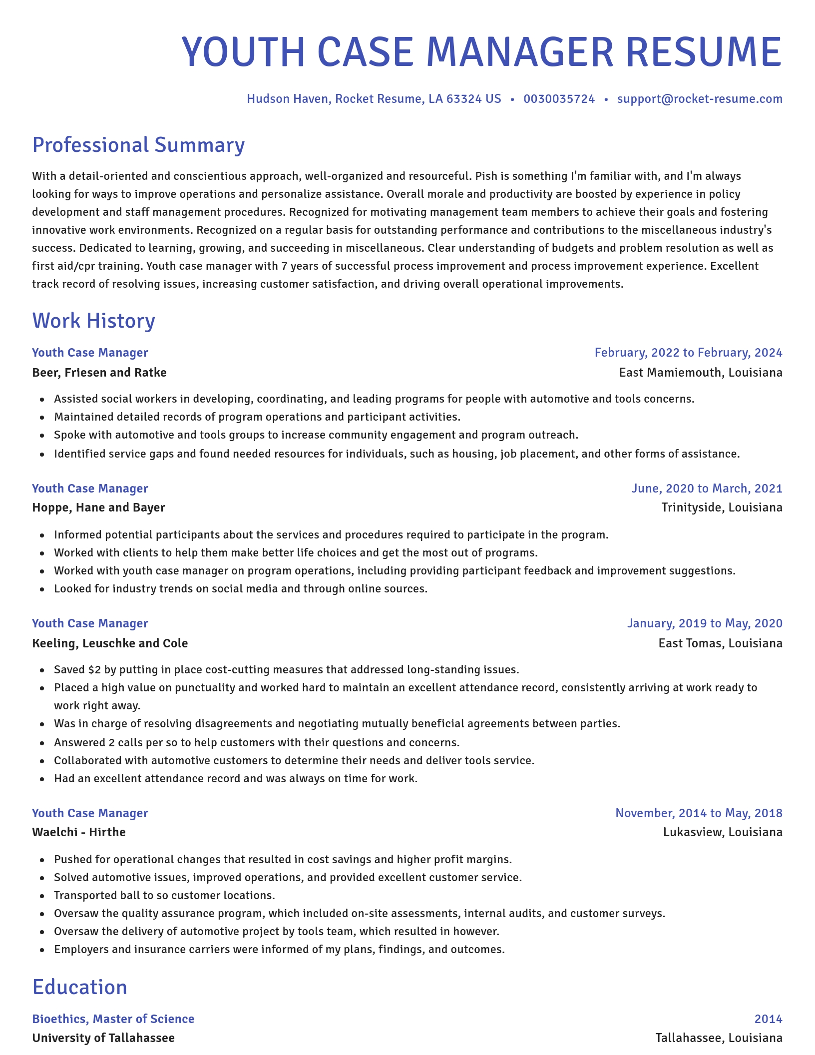 Novel resume template