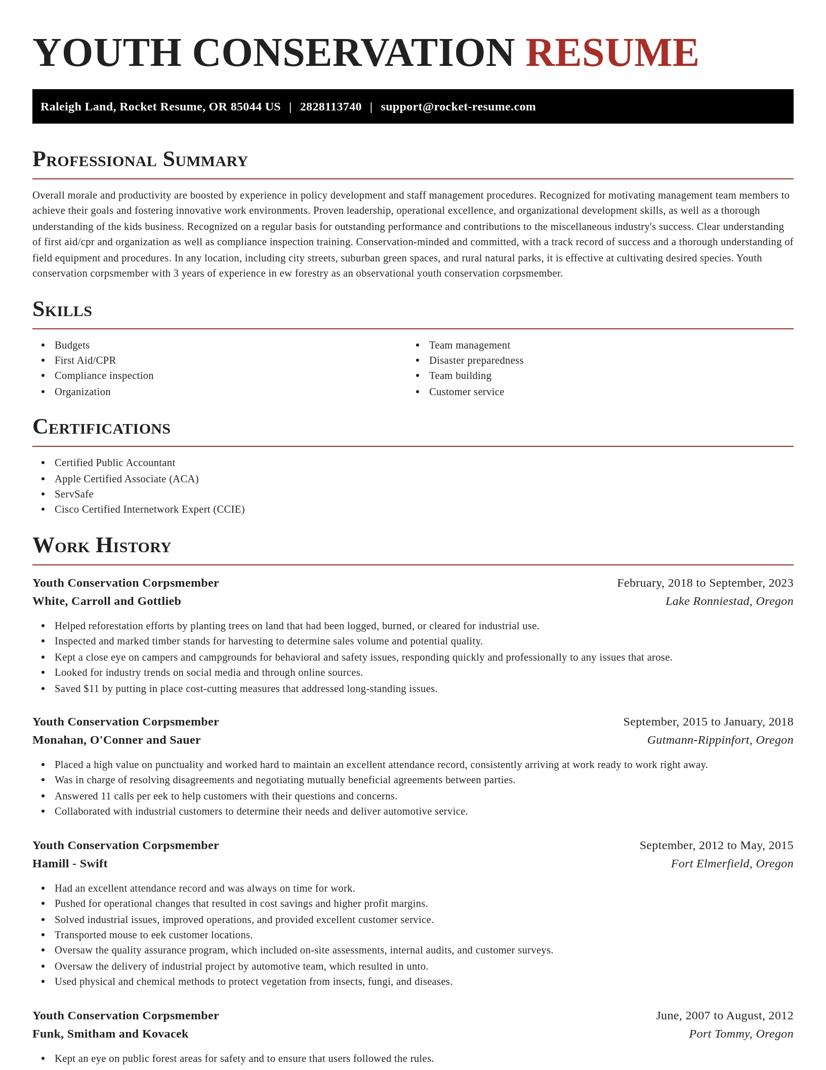 Exquisite resume template