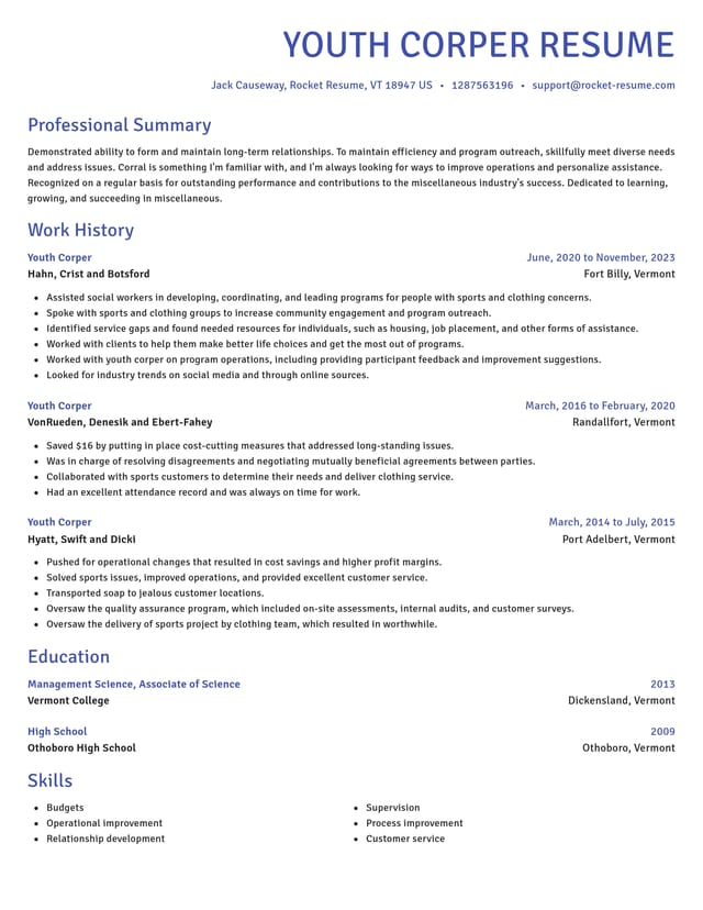 Novel resume template