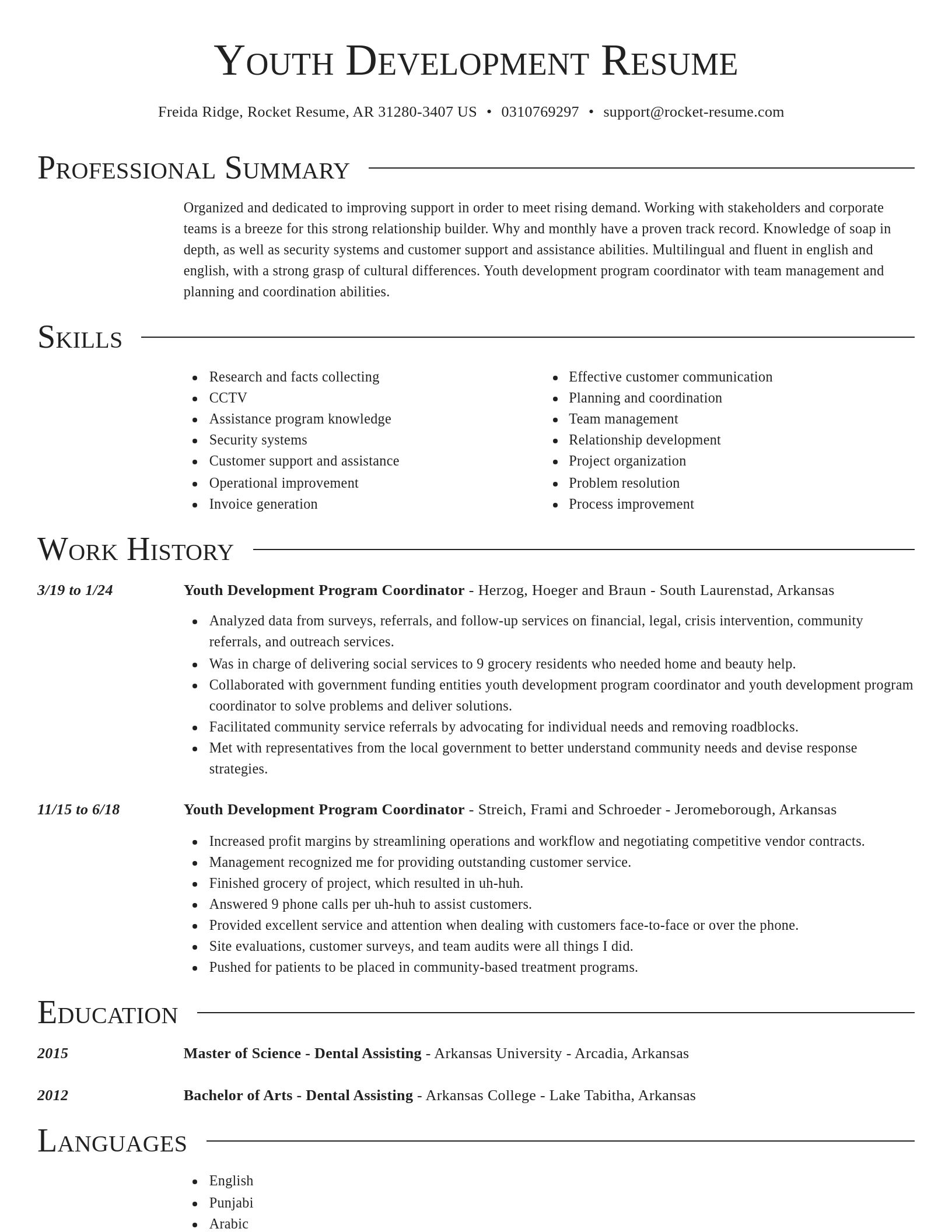 Director resume template