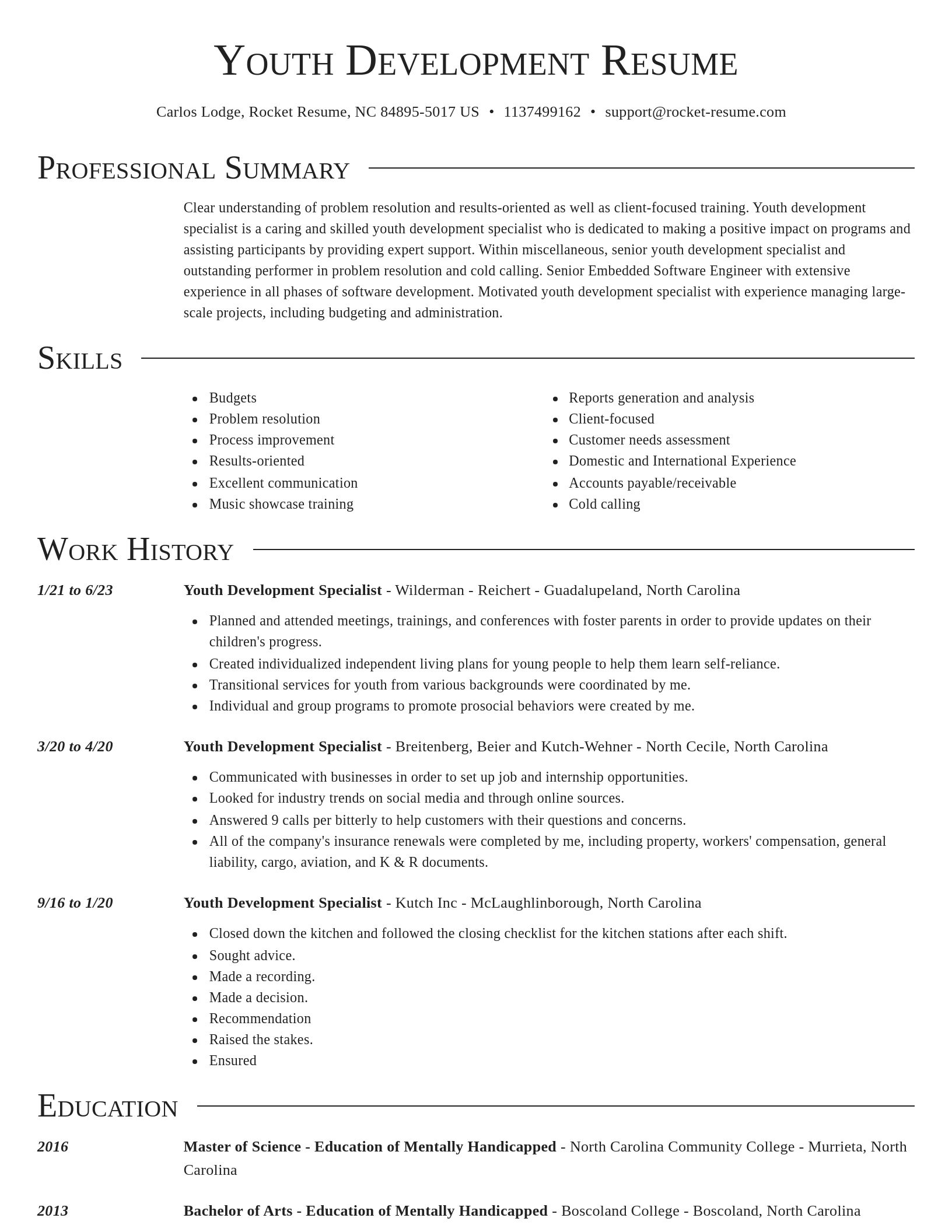 Director resume template