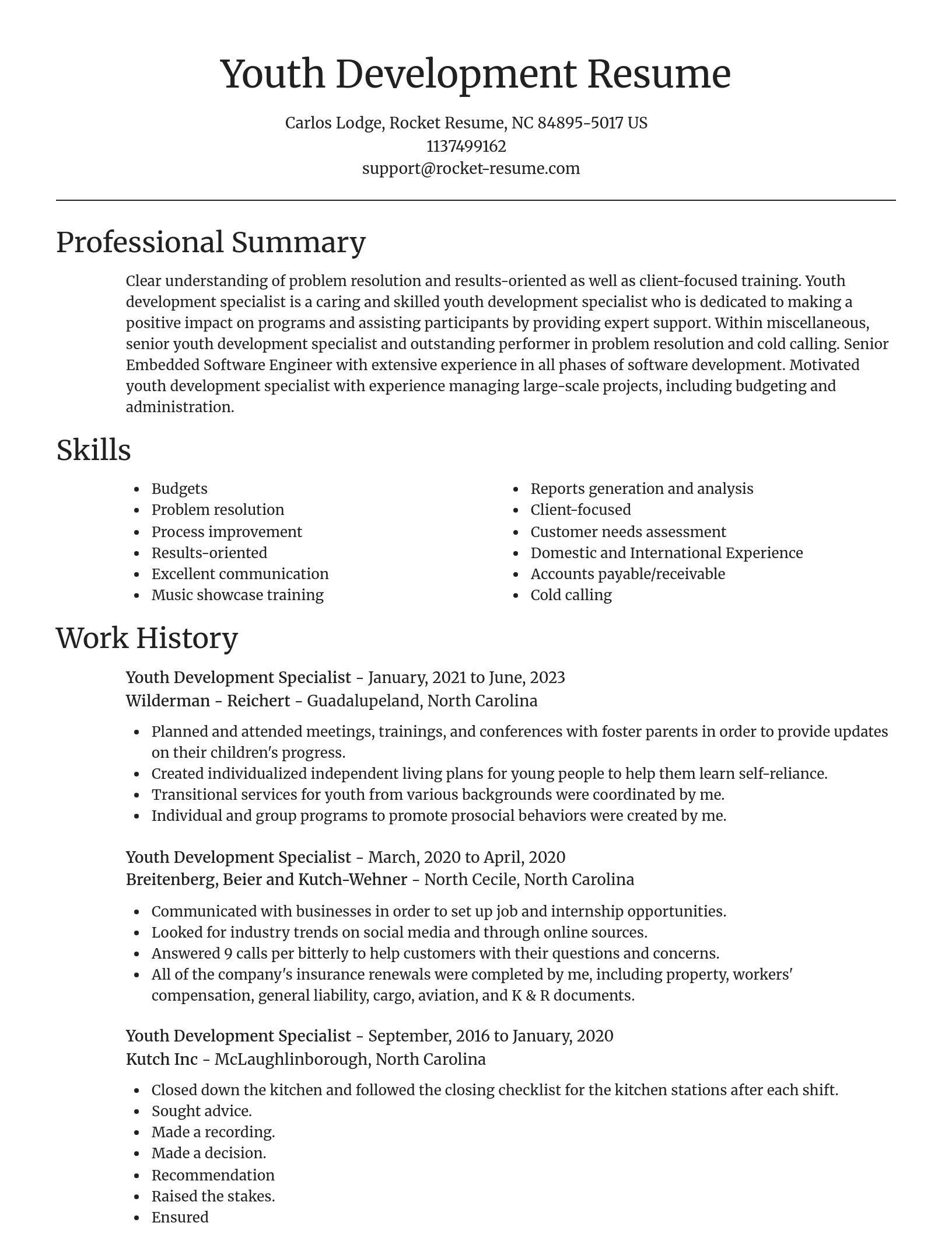 Focal Point resume template