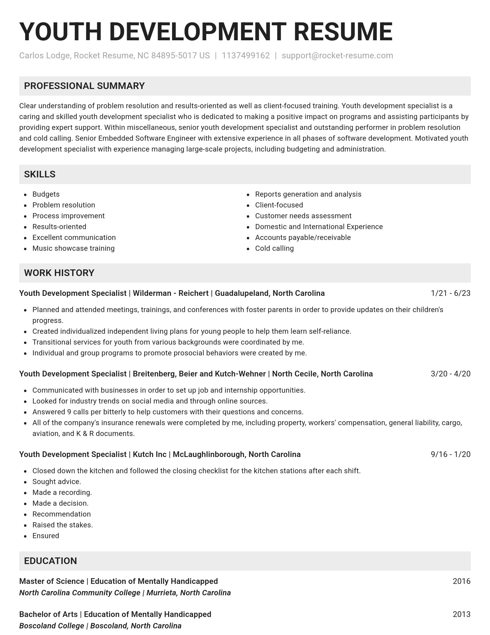 Genius resume template