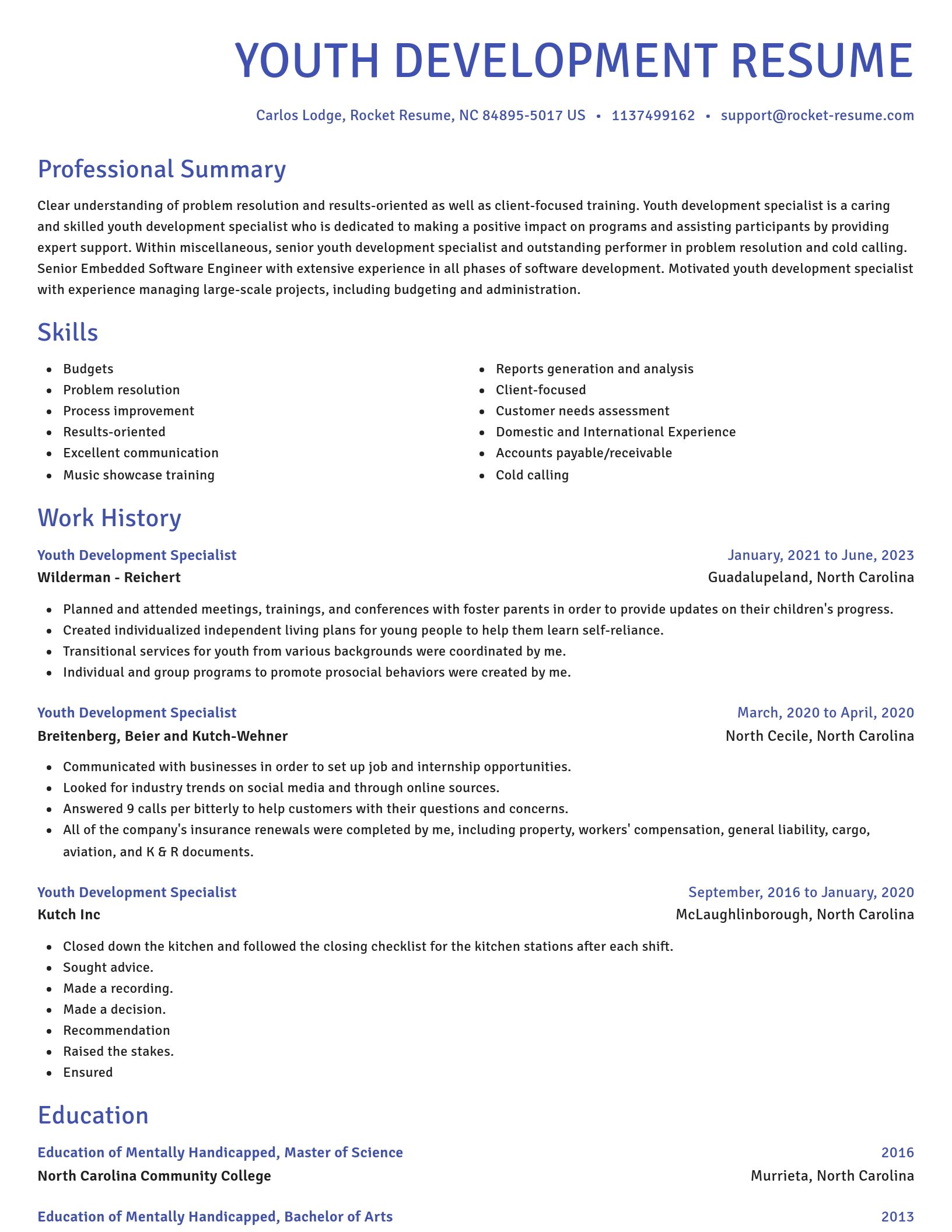 Novel resume template