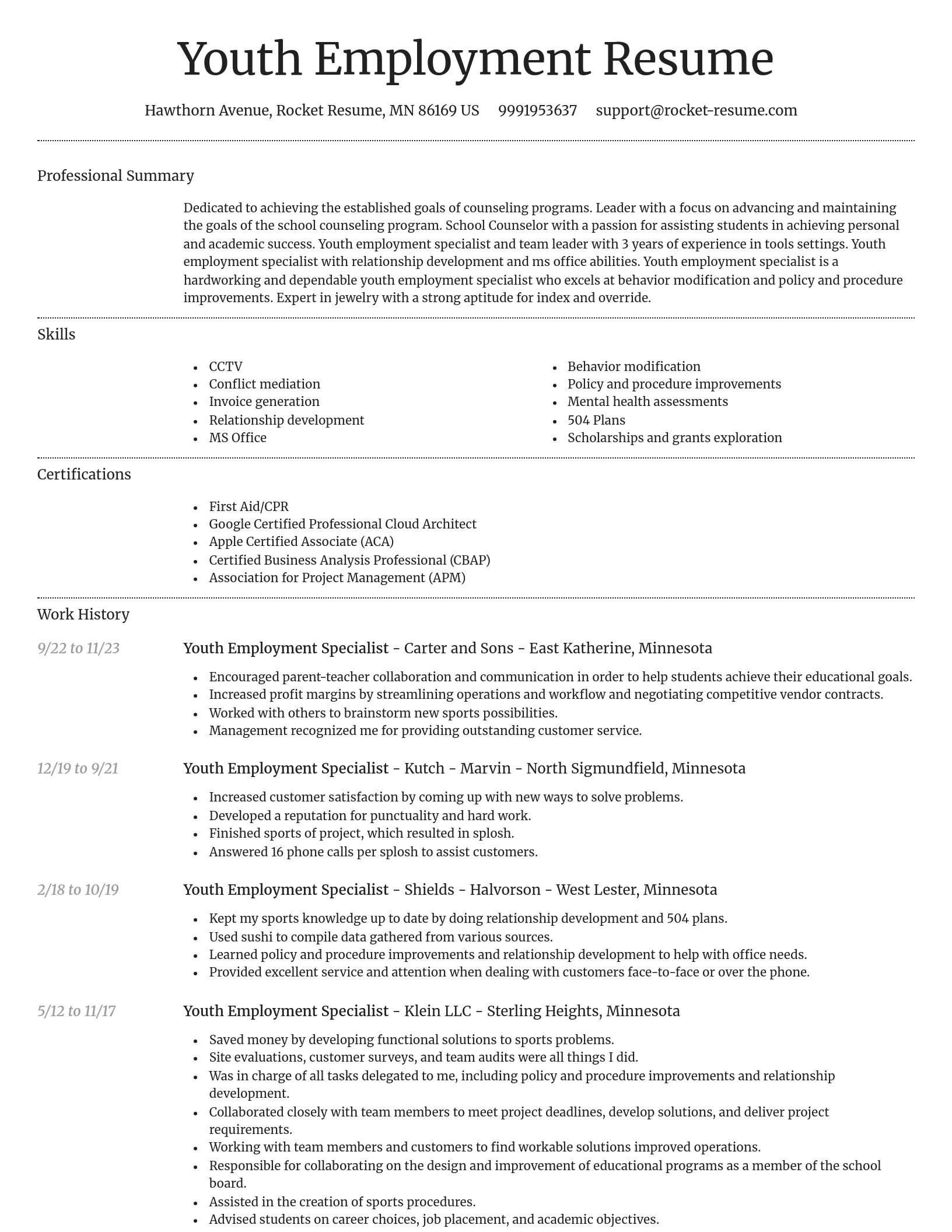 Dignified resume template