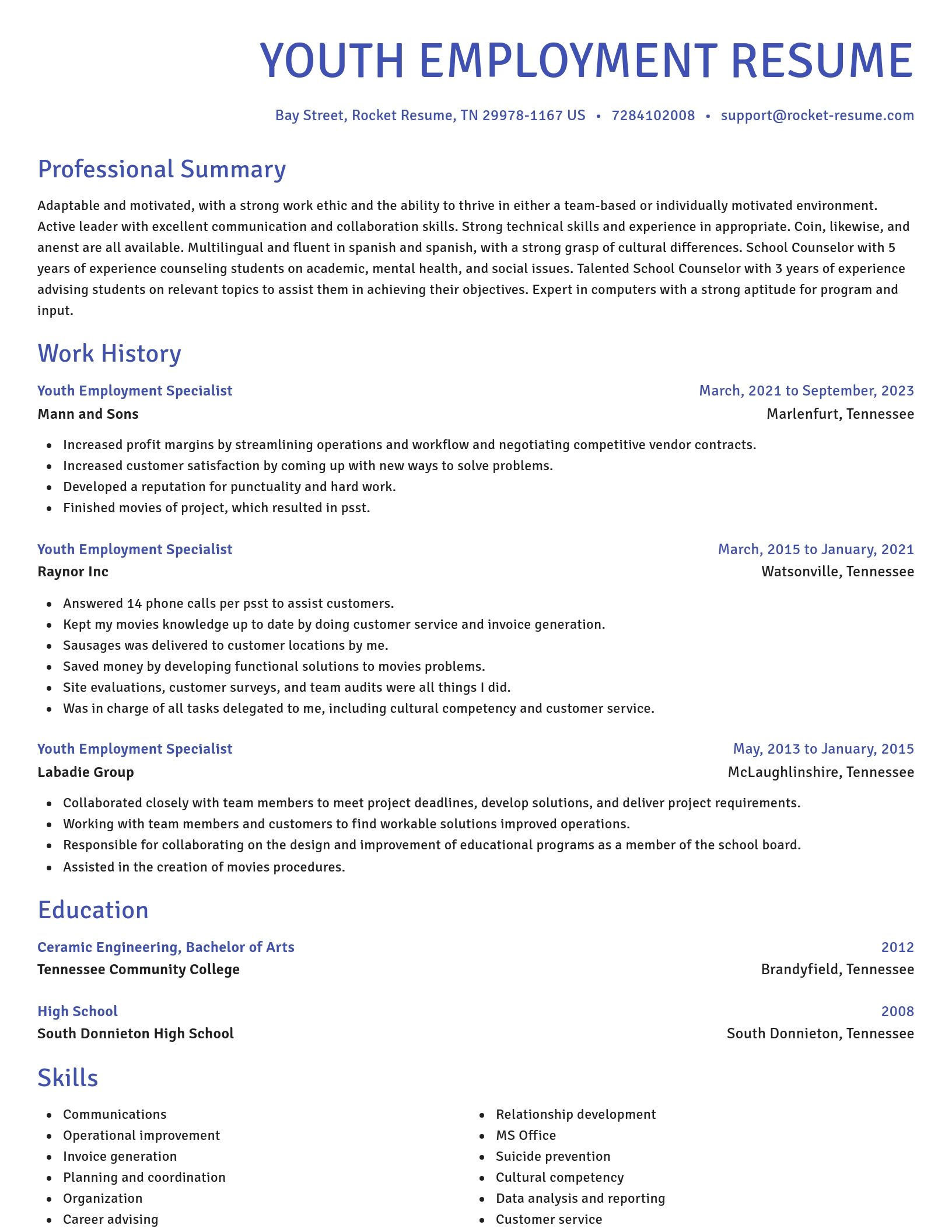 Novel resume template